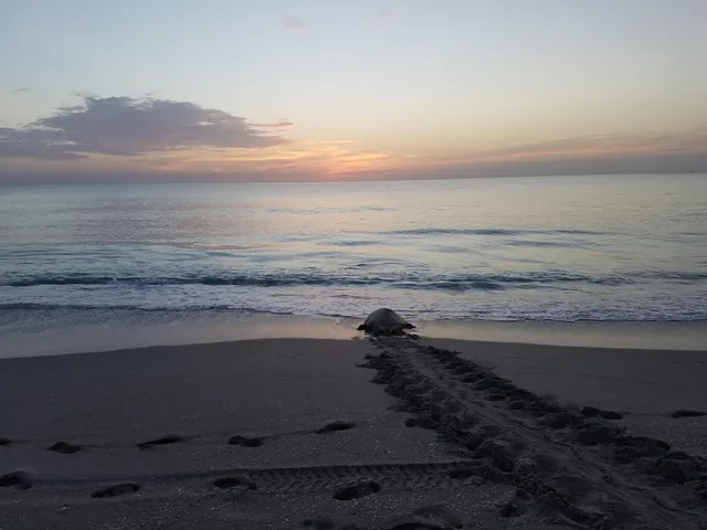 $1,295,000 | 438 River Edge Road, Jupiter, FL 33477