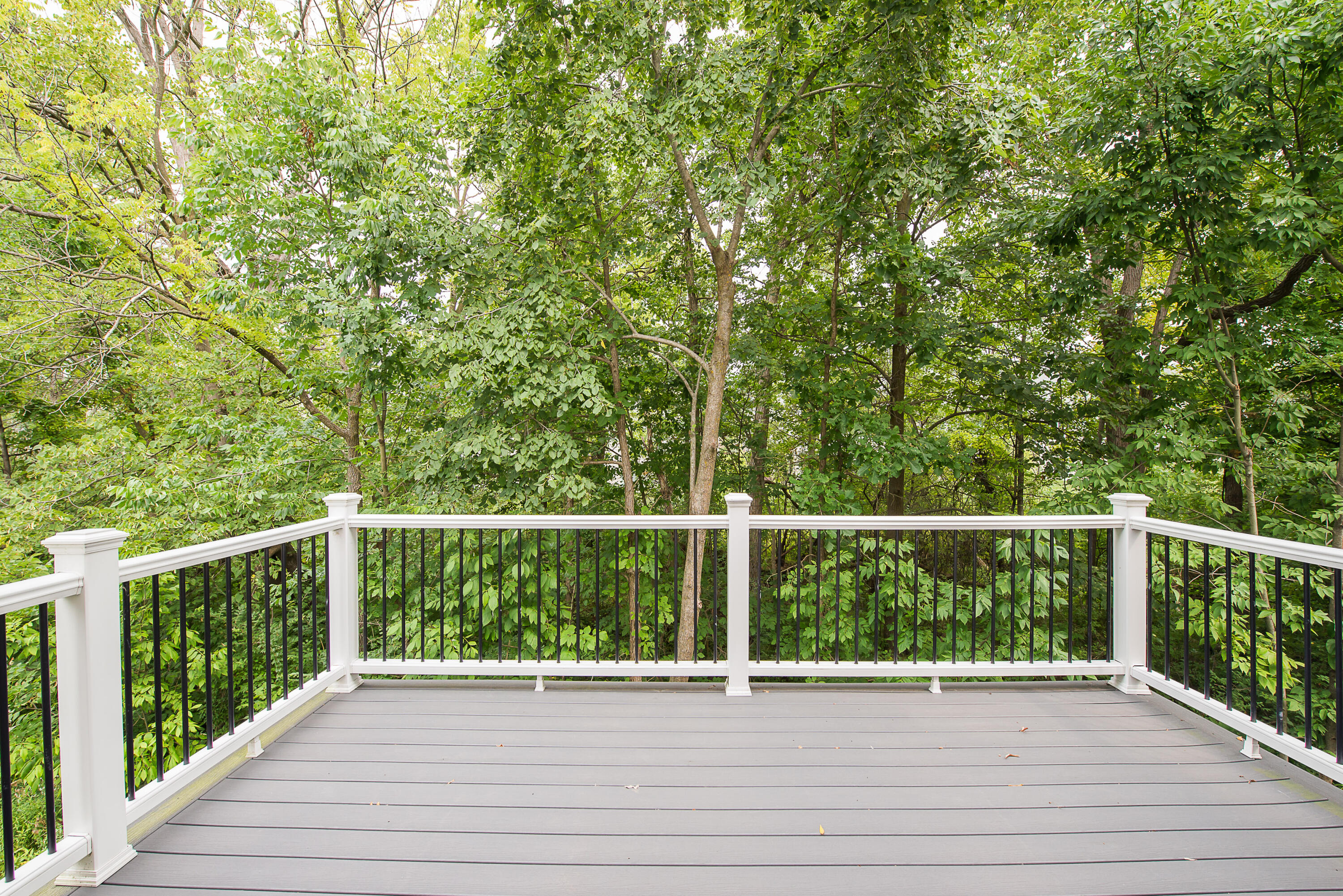 3310 Sunton Road Ann Arbor, MI 48105 - Photo 18 of 54 DSC_4369