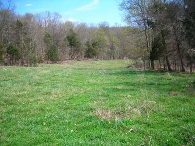1236 James Parmley Road Lexington, KY 40508 - Photo 10 of 11 Photo 10