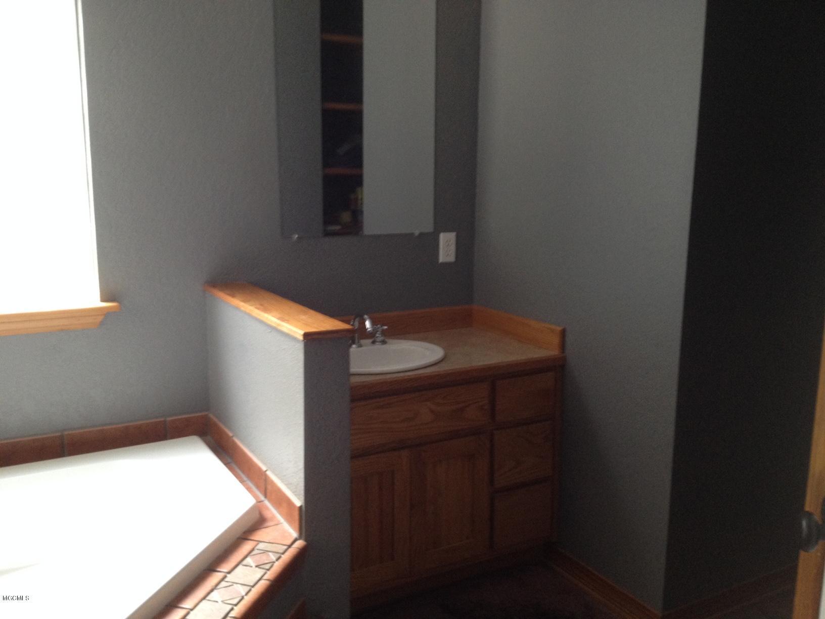 15725 Cruthirds Road Vancleave, MS 39565 - Photo 12 of 30 MASTER BA VANITY 1
