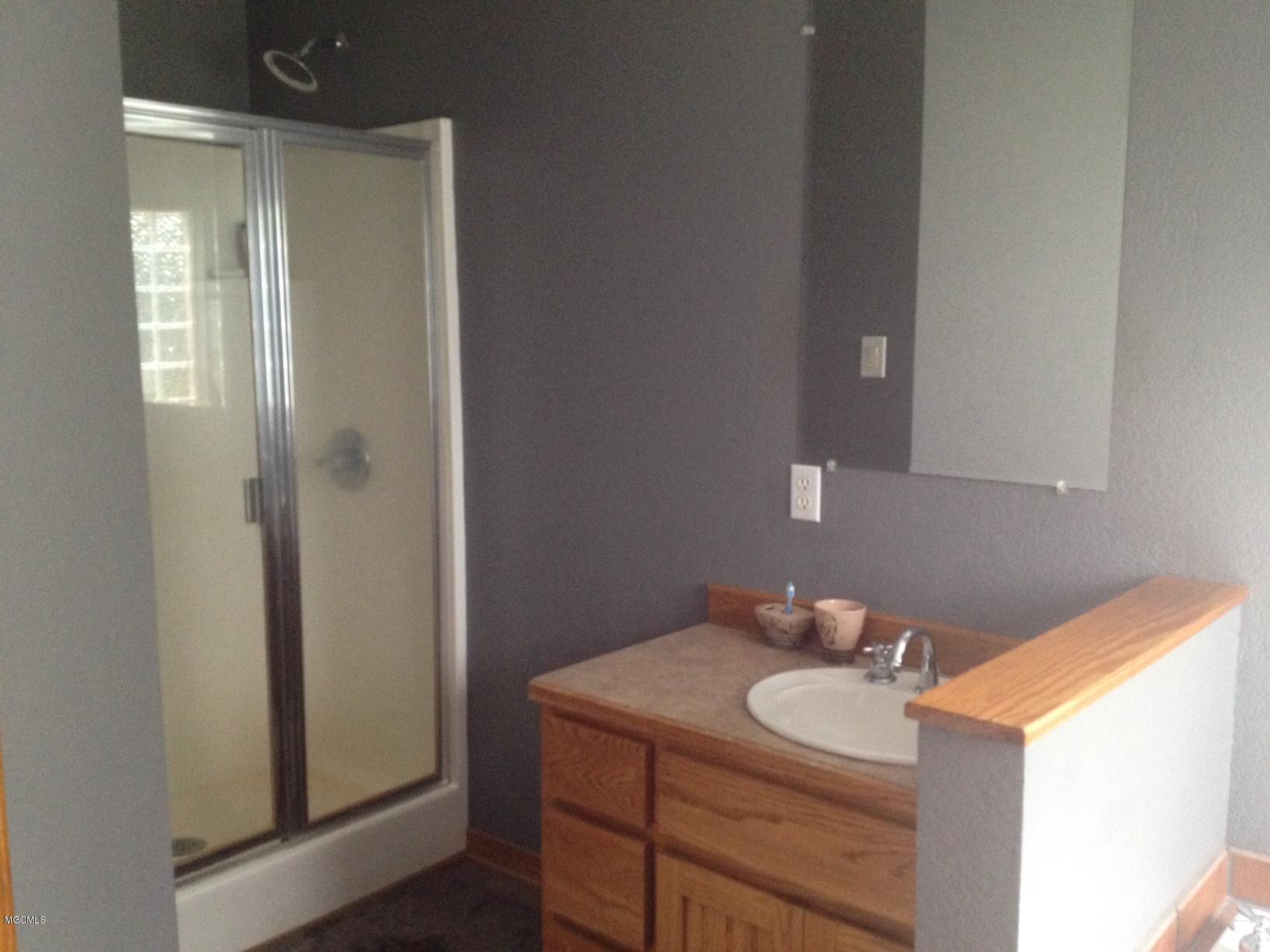 15725 Cruthirds Road Vancleave, MS 39565 - Photo 14 of 30 MASTER BA VANITY 2