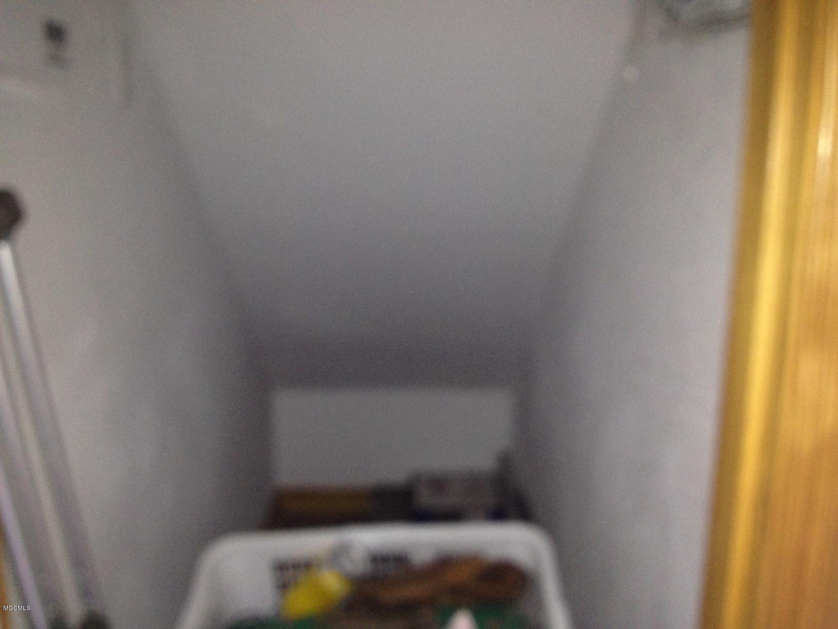 15725 Cruthirds Road Vancleave, MS 39565 - Photo 16 of 30 UNDER STAIR STORAGE