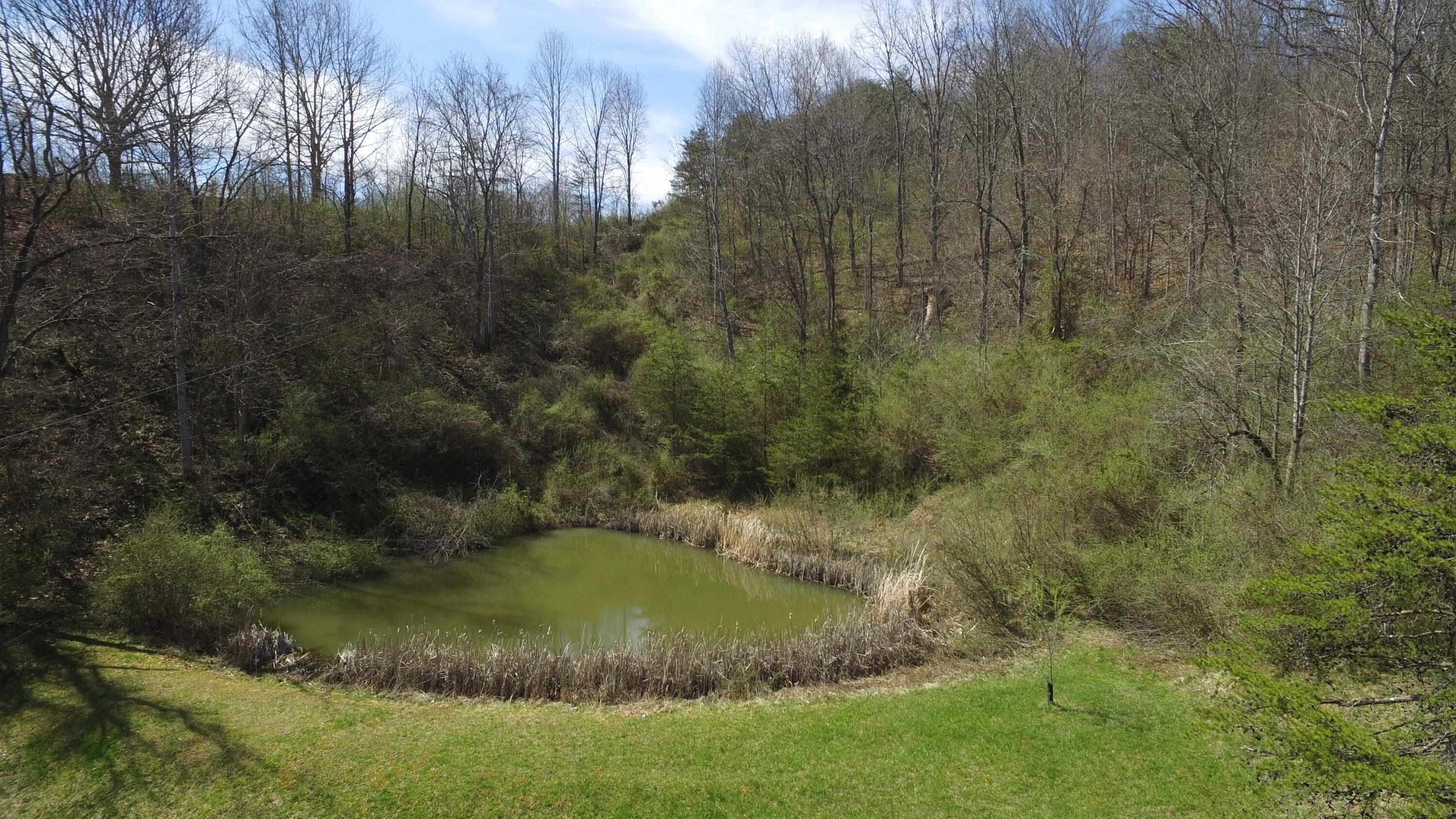 276 Lone Willow Mountain Road Sandstone, WV 25985 - Photo 36 of 67 Gallery Image 36