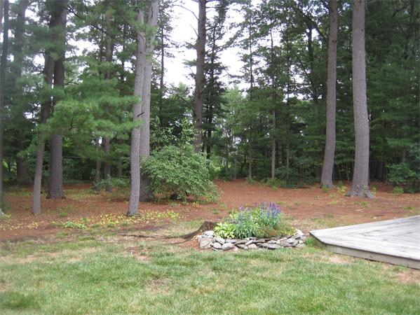 23 Porter Road Chelmsford, MA 01824 - Photo 21 of 21 a view of a backyard with trees