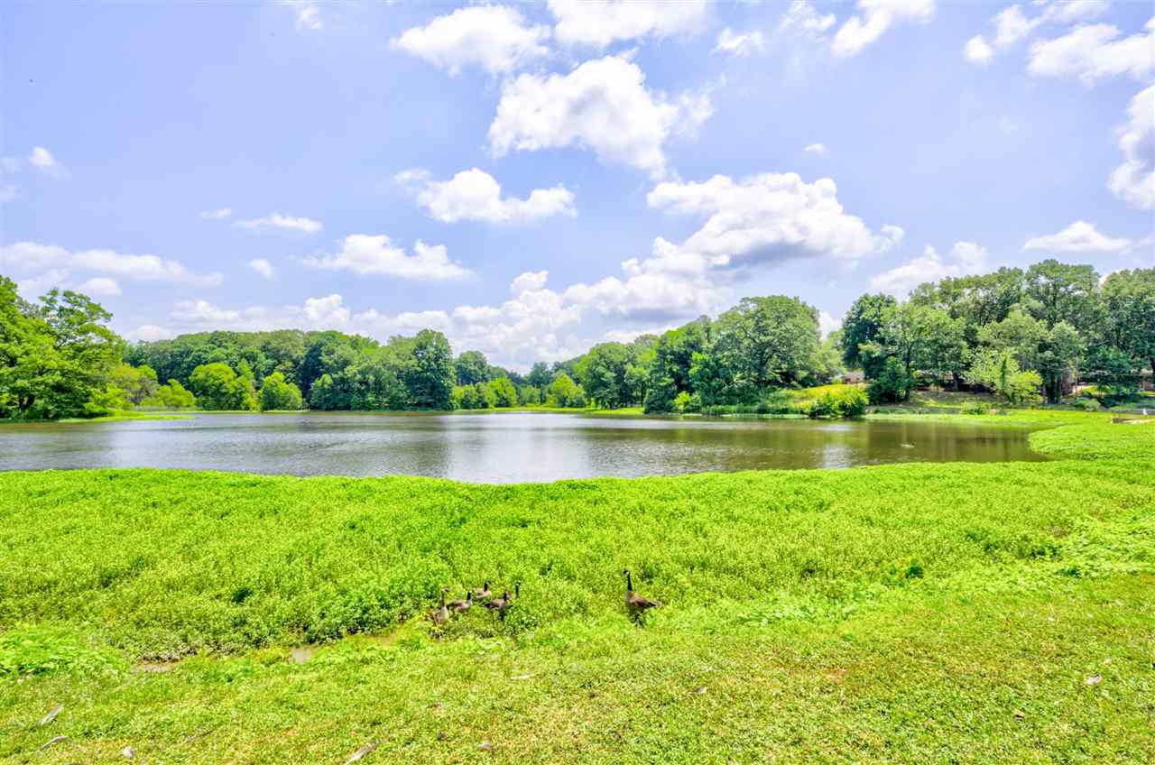 3007 Invergarry Road Memphis, TN 38128 - Photo 4 of 21