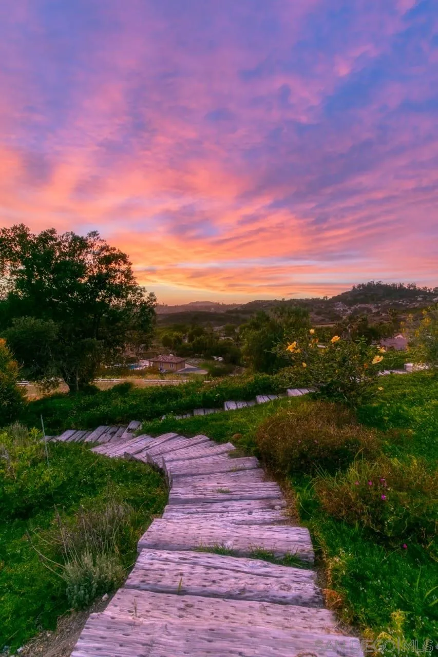15245 Presilla Drive Jamul, CA 91935 - Photo 57 of 57 a view of a street with a yard