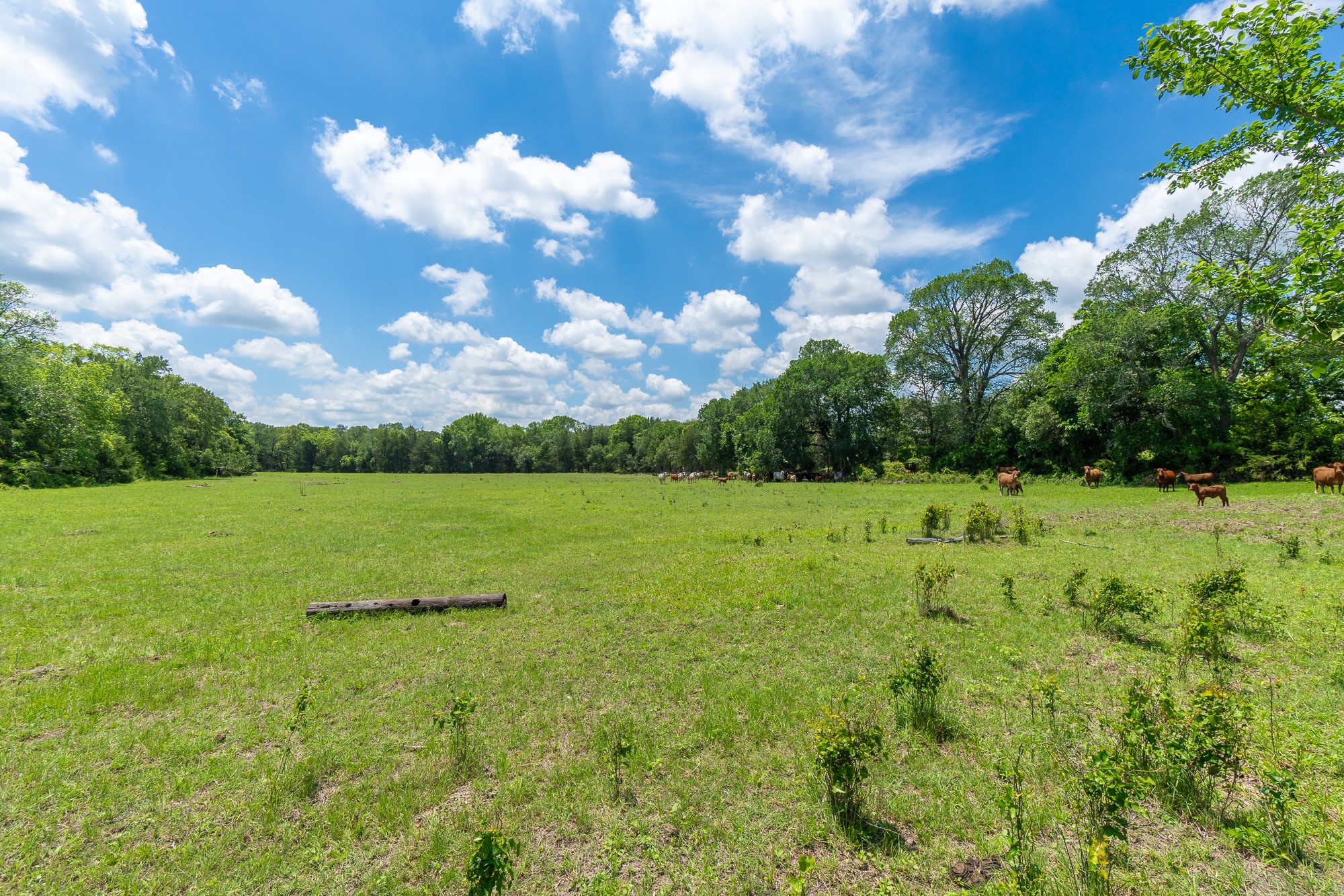 5018 Wolters Road Schulenburg, TX 78956 - Photo 22 of 39 a view of a golf course with a lake