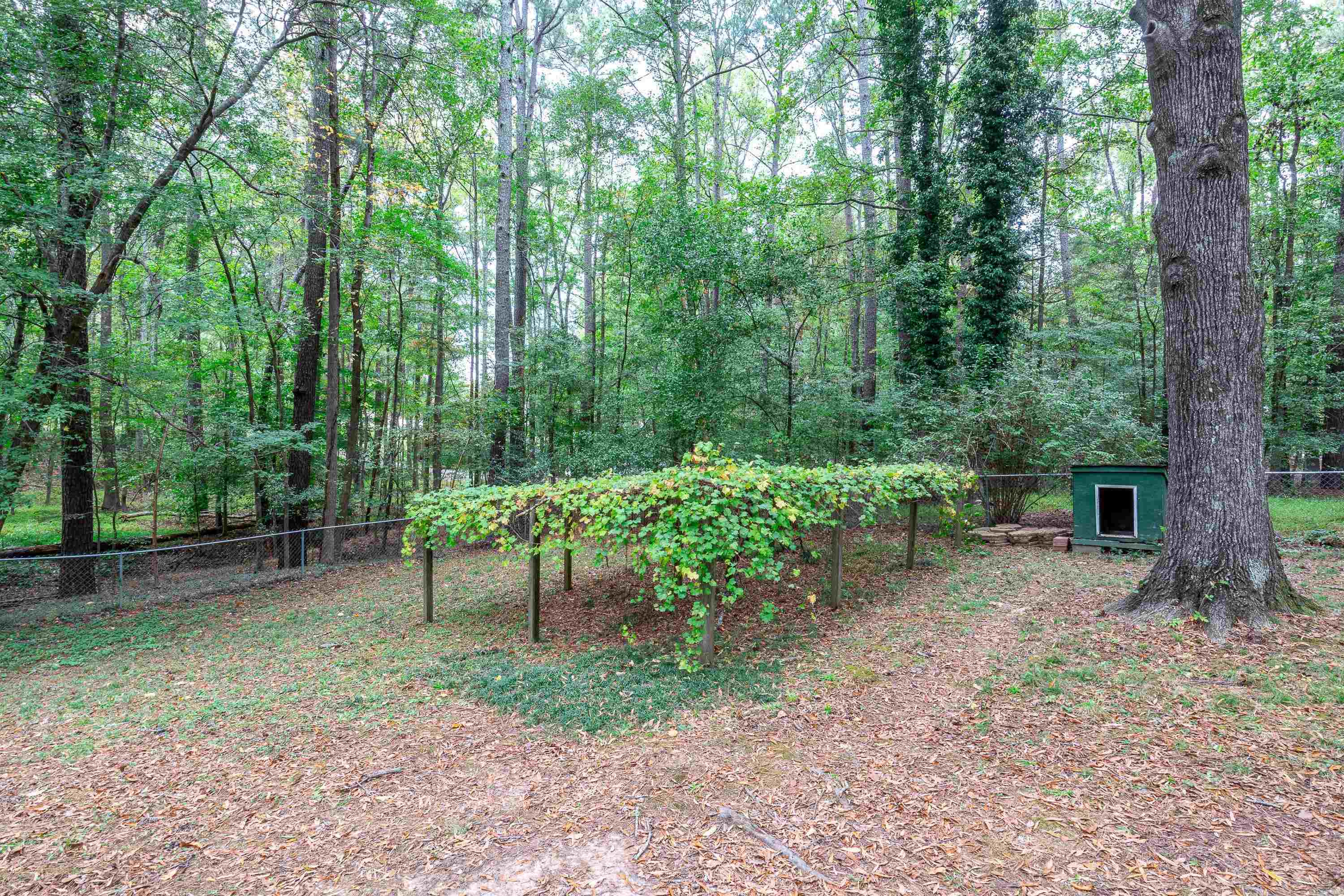 252 Hester Road Durham, NC 27703 - Photo 24 of 55 Grape Vine