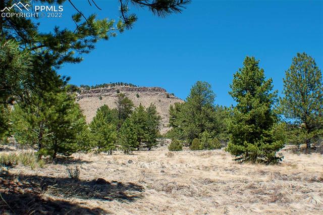 441 Wagonwheel Road Guffey, CO 80820 - Photo 26 of 36 Gallery Image 26