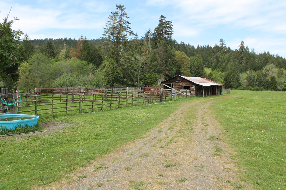 30855 Alderpoint Road, Unit MORE SEE REMARKS Blocksburg, CA 95514 - Photo 12 of 19