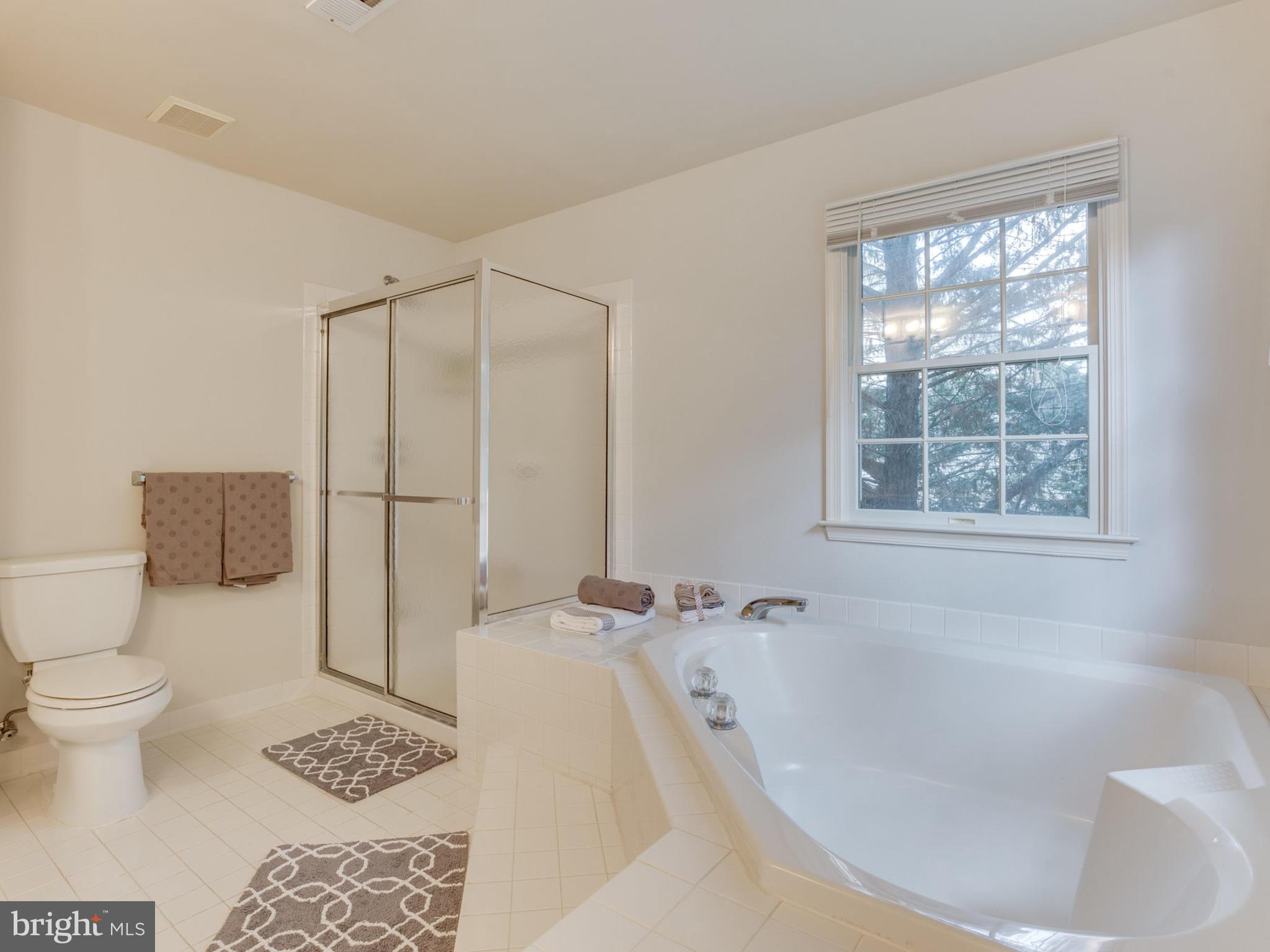 10879 Hunter Gate Way Reston, VA 20194 - Photo 15 of 30 Bath (Master)