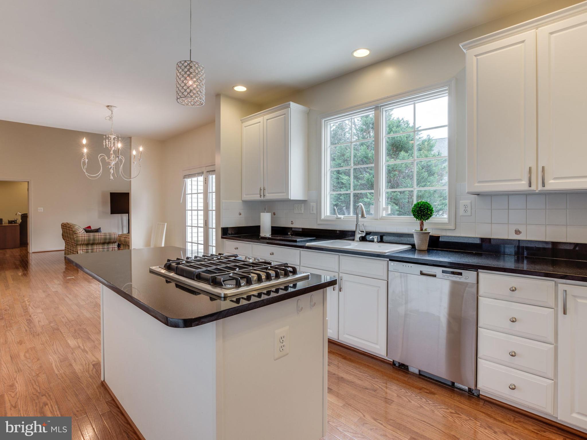 10879 Hunter Gate Way Reston, VA 20194 - Photo 10 of 30 Kitchen