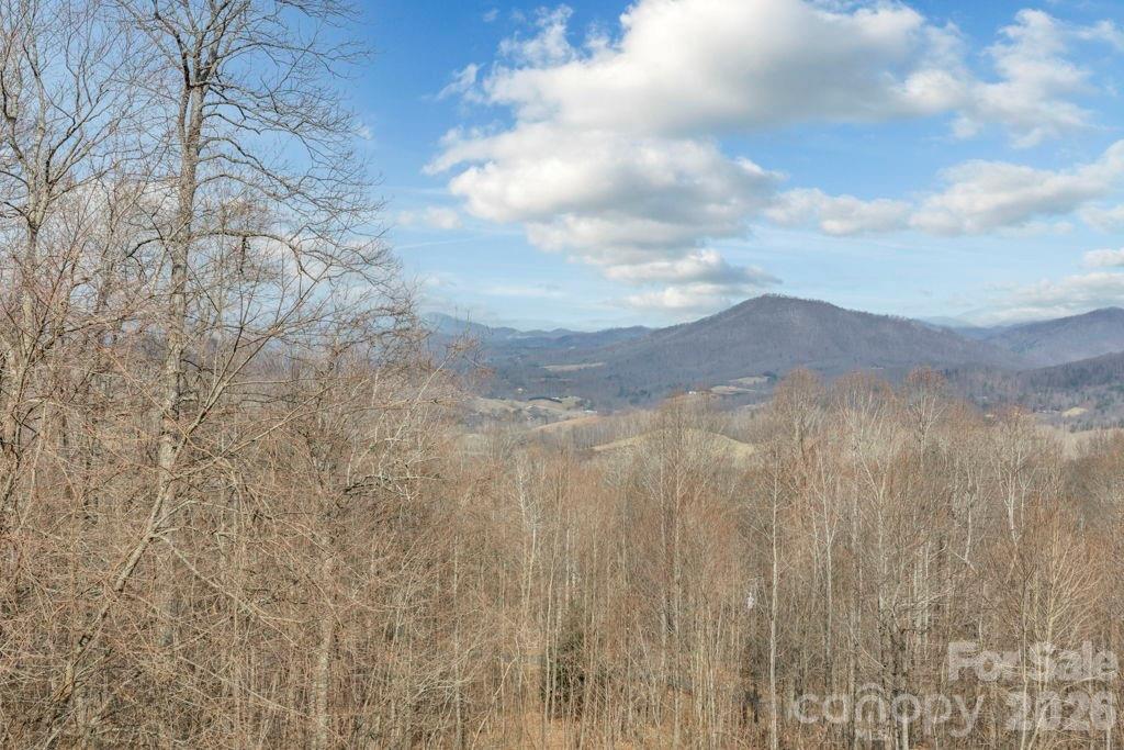 461 Arrowhead Ridge Road Spruce Pine, NC 28777 - Photo 42 of 42