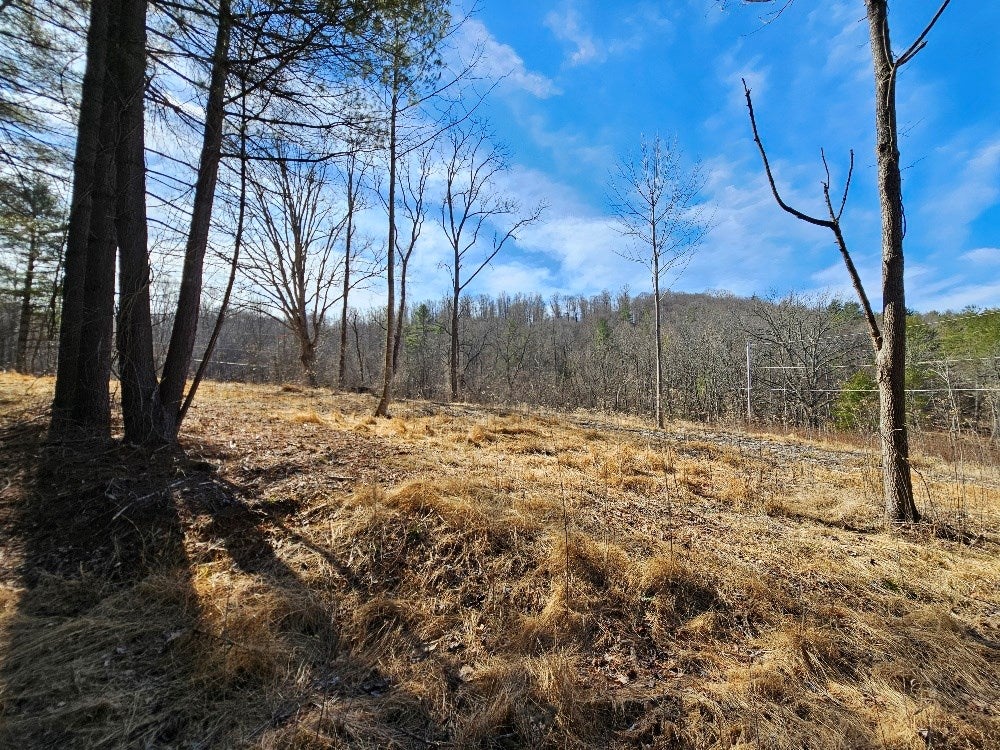 236 Old Quaker Road Galax, VA 24333 - Photo 7 of 10 Gallery Image 7