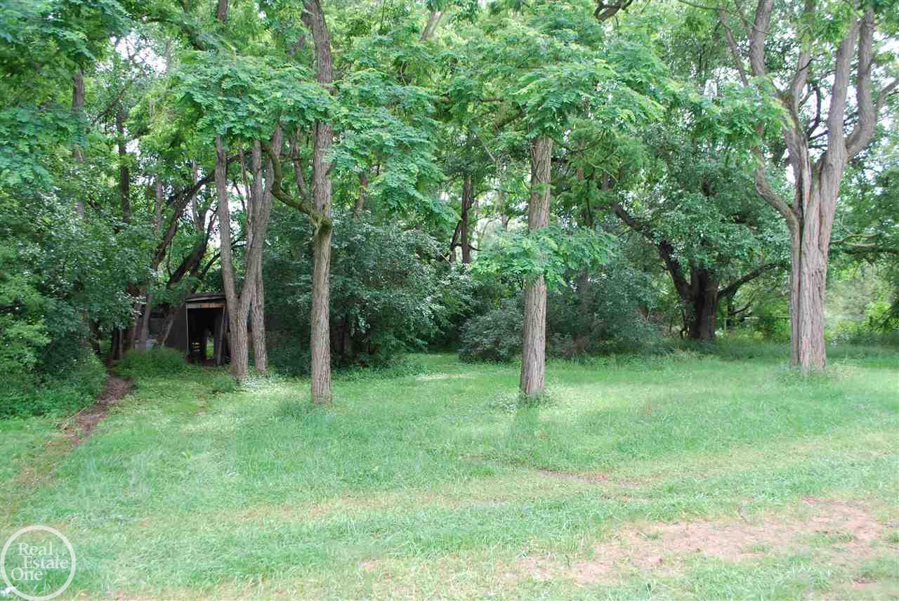 68286 Powell Road Washington, MI 48095 - Photo 28 of 33