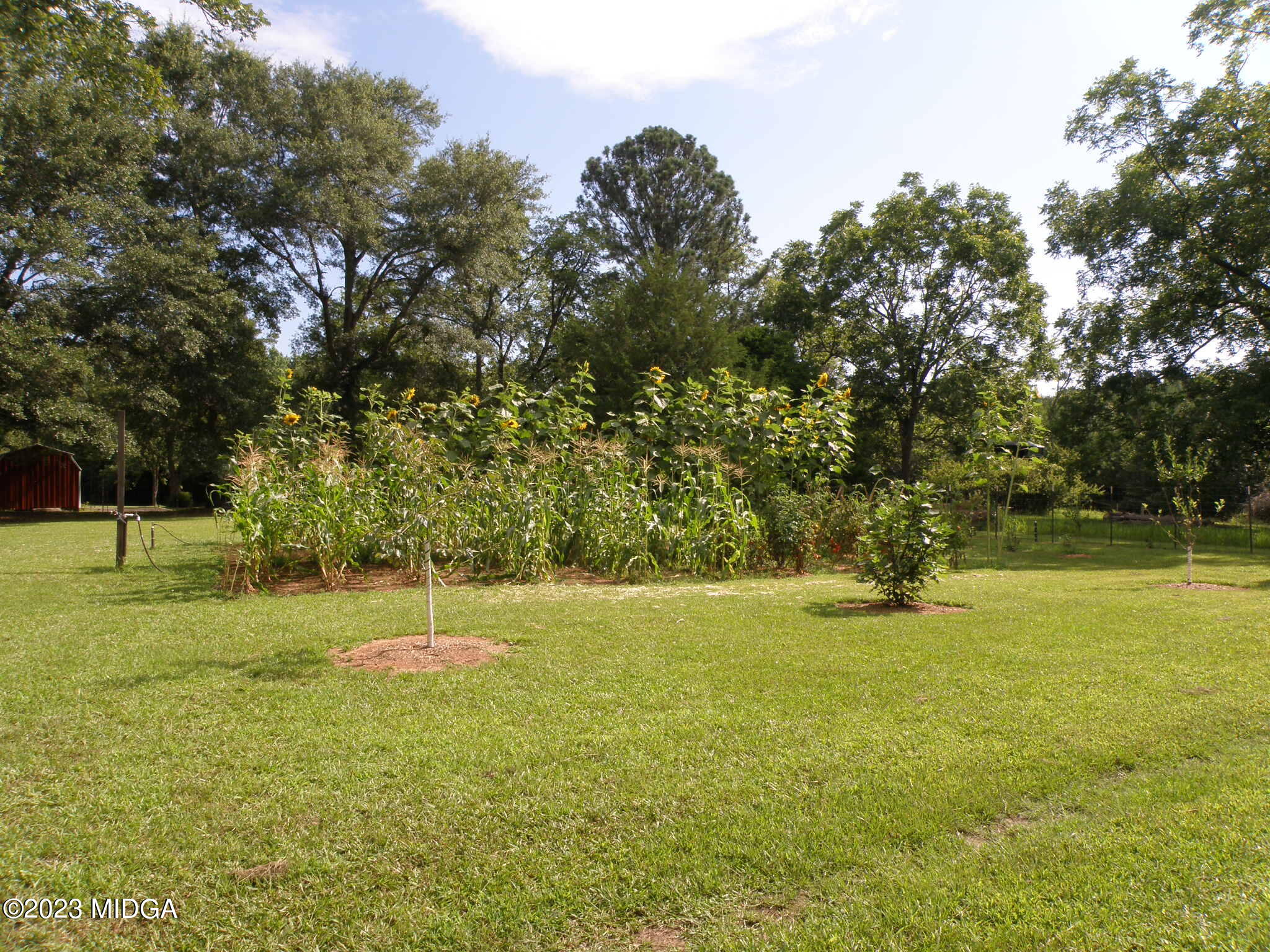 388 Fairview Church Road Forsyth, GA 31029 - Photo 39 of 41 a view of yard with swimming pool and trees