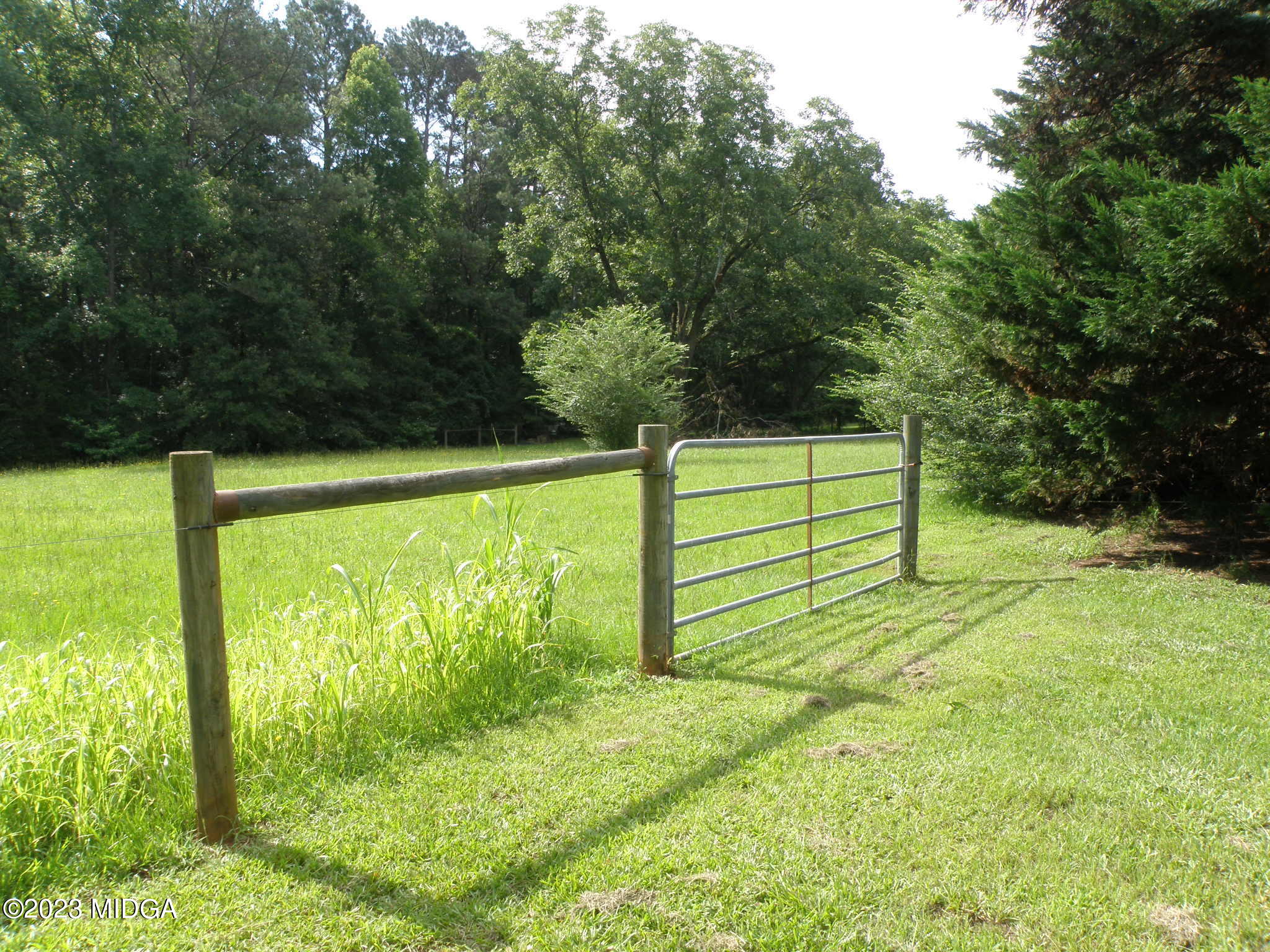 388 Fairview Church Road Forsyth, GA 31029 - Photo 41 of 41 a view of a yard with large trees
