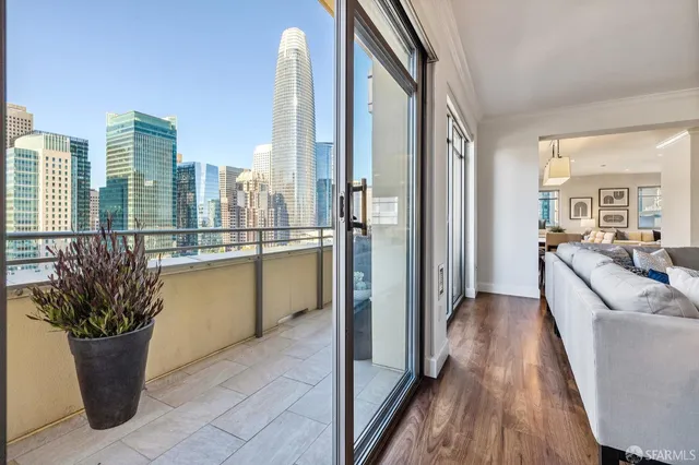 a view of a living room and a potted plant