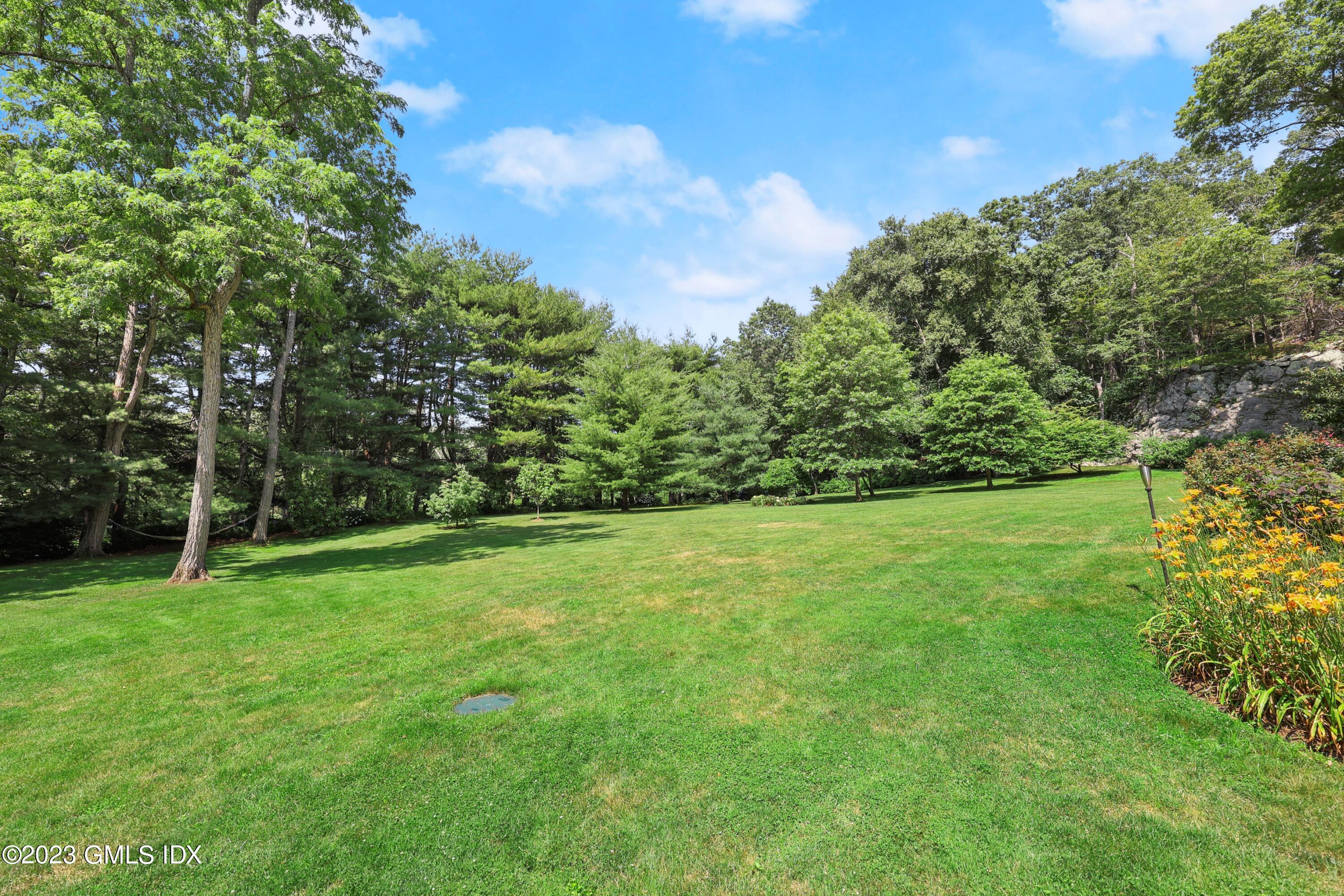 207 Farms Road Stamford, CT 06903 - Photo 12 of 47 a view of a yard with a trees