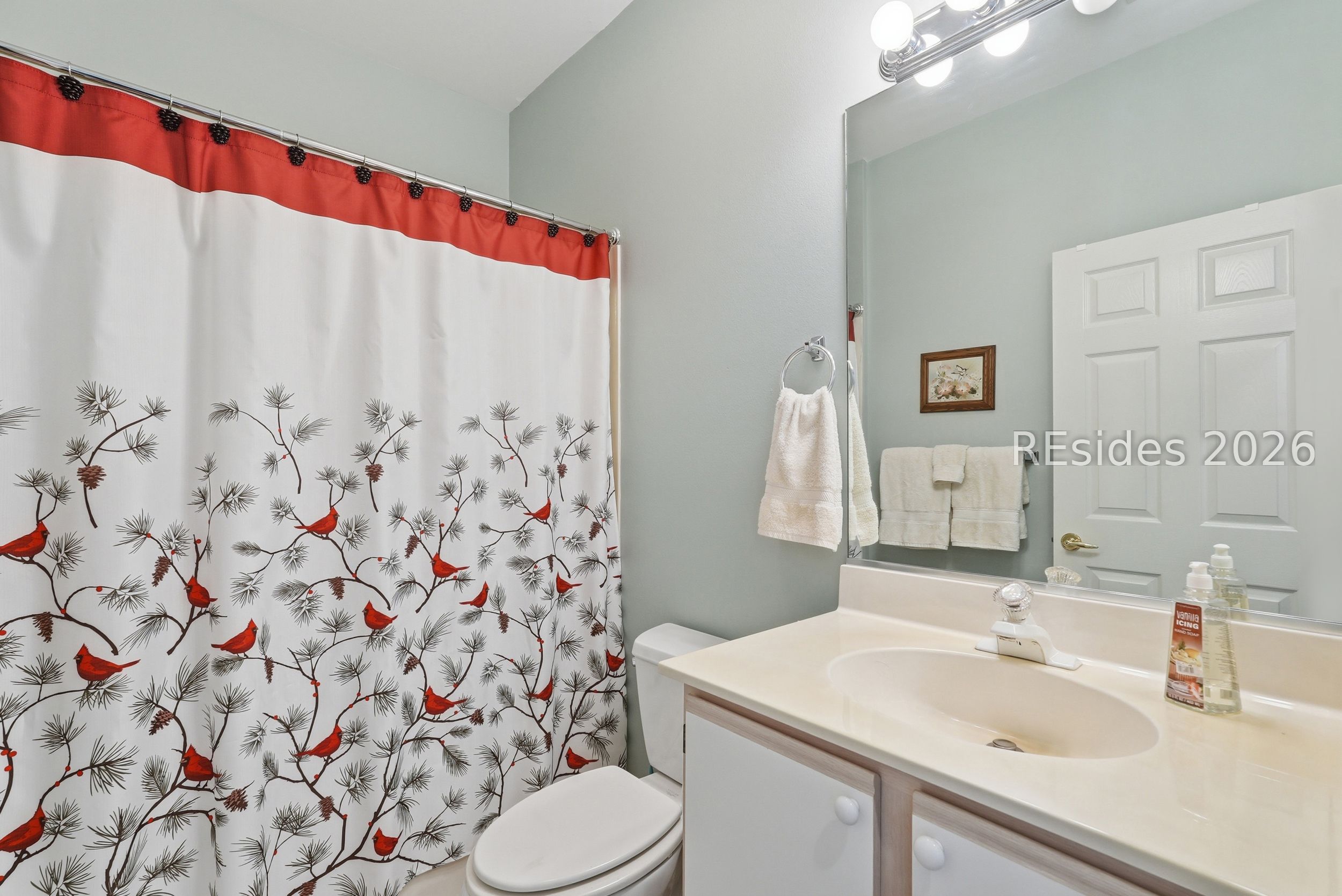 11 MacKay Lane Bluffton, SC 29909 - Photo 29 of 57 Guest Bathroom