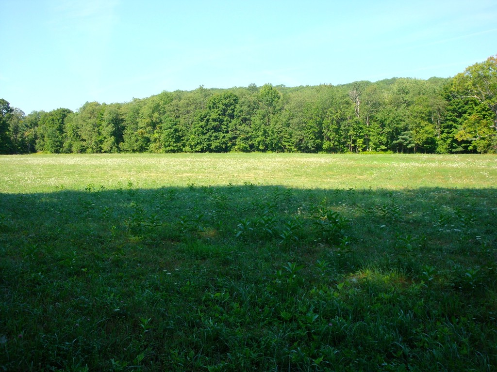 Lot 2 Harrington Road Charlton, MA 01507 - Photo 1 of 1 Gallery Image 1