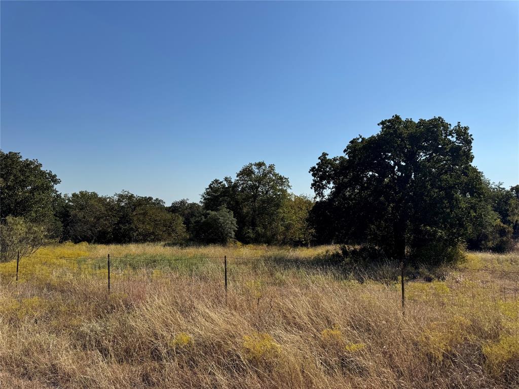 Tbd Tbd Wild Hill Springtown, TX 76082 - Photo 14 of 15 a view of lake and trees