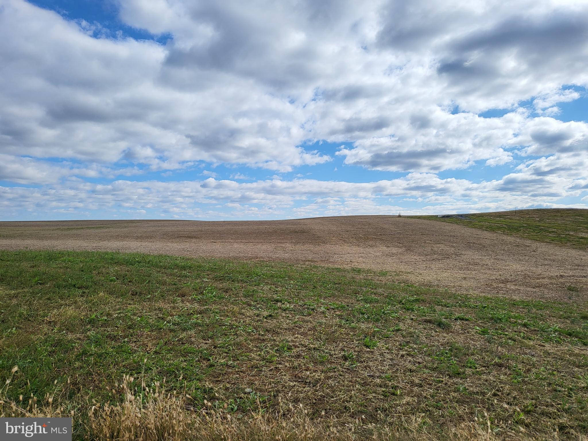 a view of yard with ocean view