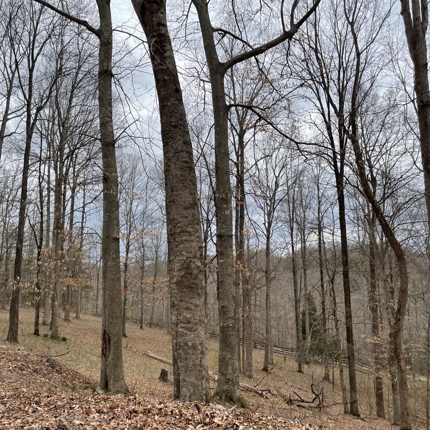 1125 Ridgecrest Road Kingston Springs, TN 37082 - Photo 20 of 20