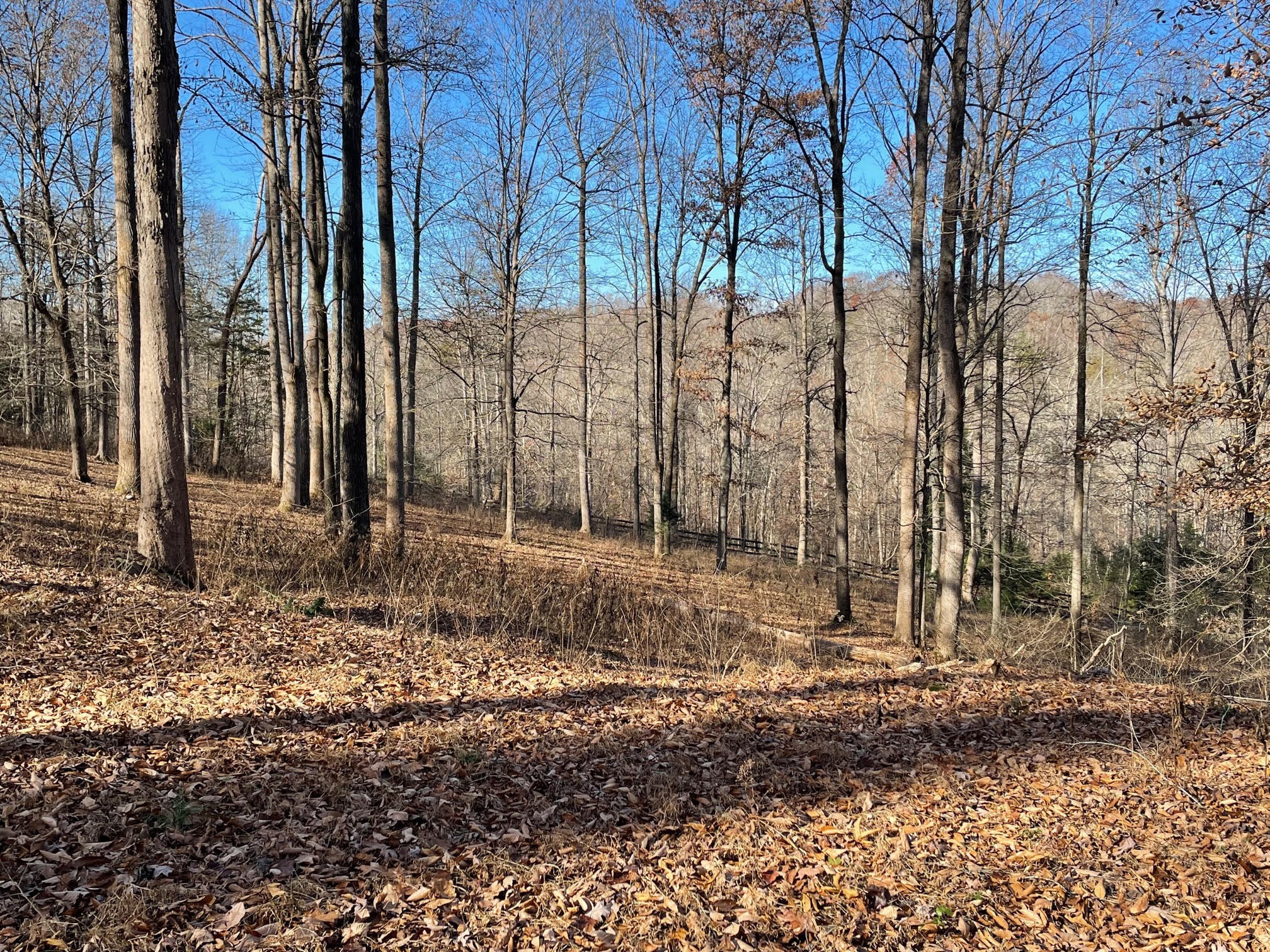 1125 Ridgecrest Road Kingston Springs, TN 37082 - Photo 2 of 20