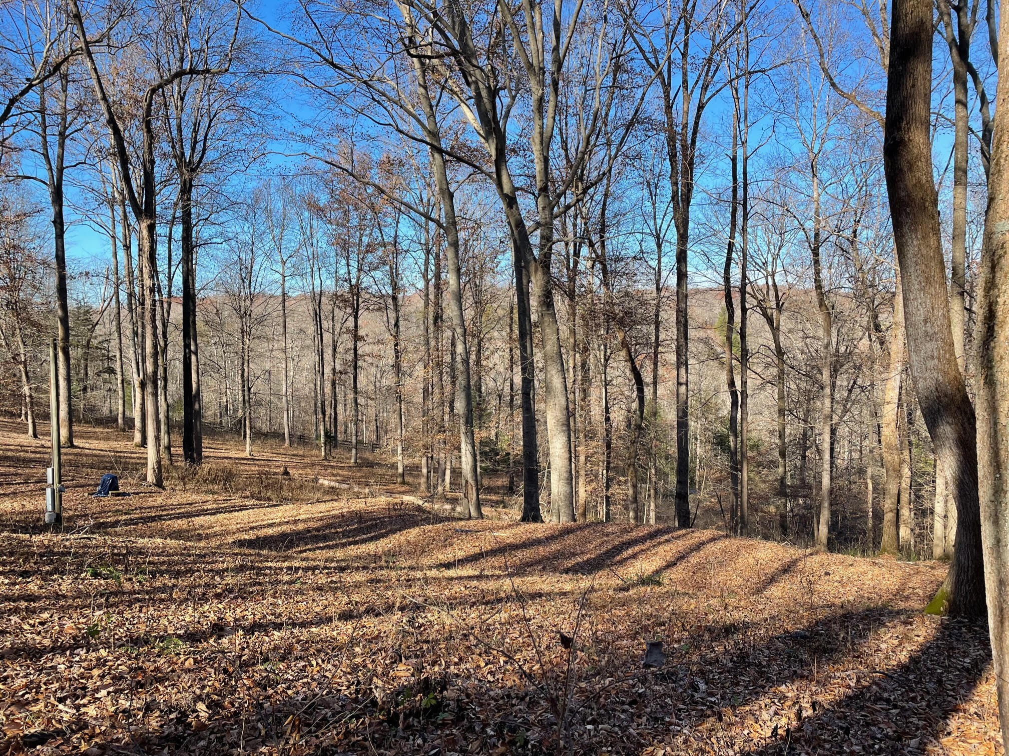 1125 Ridgecrest Road Kingston Springs, TN 37082 - Photo 5 of 20