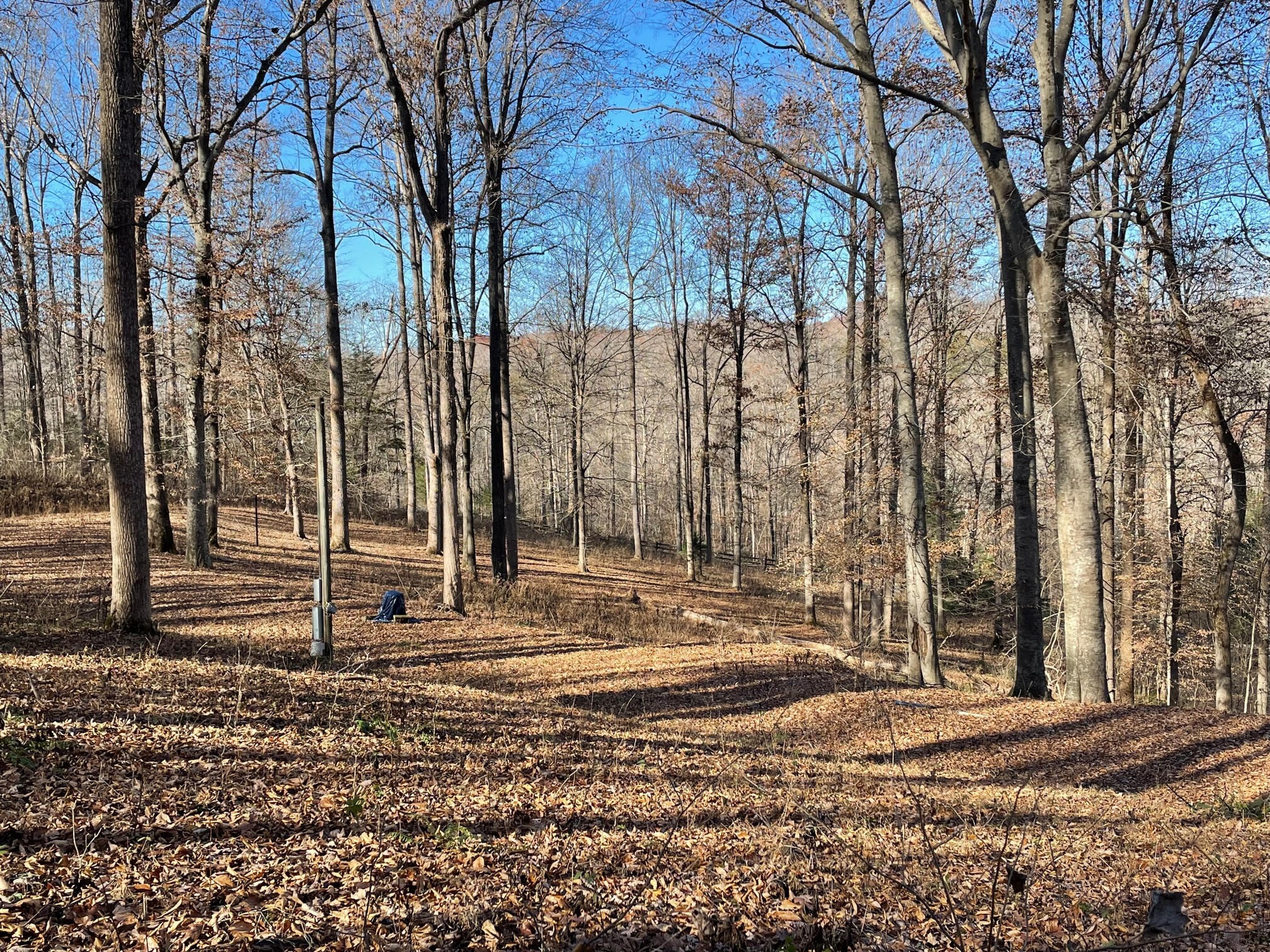 1125 Ridgecrest Road Kingston Springs, TN 37082 - Photo 6 of 20