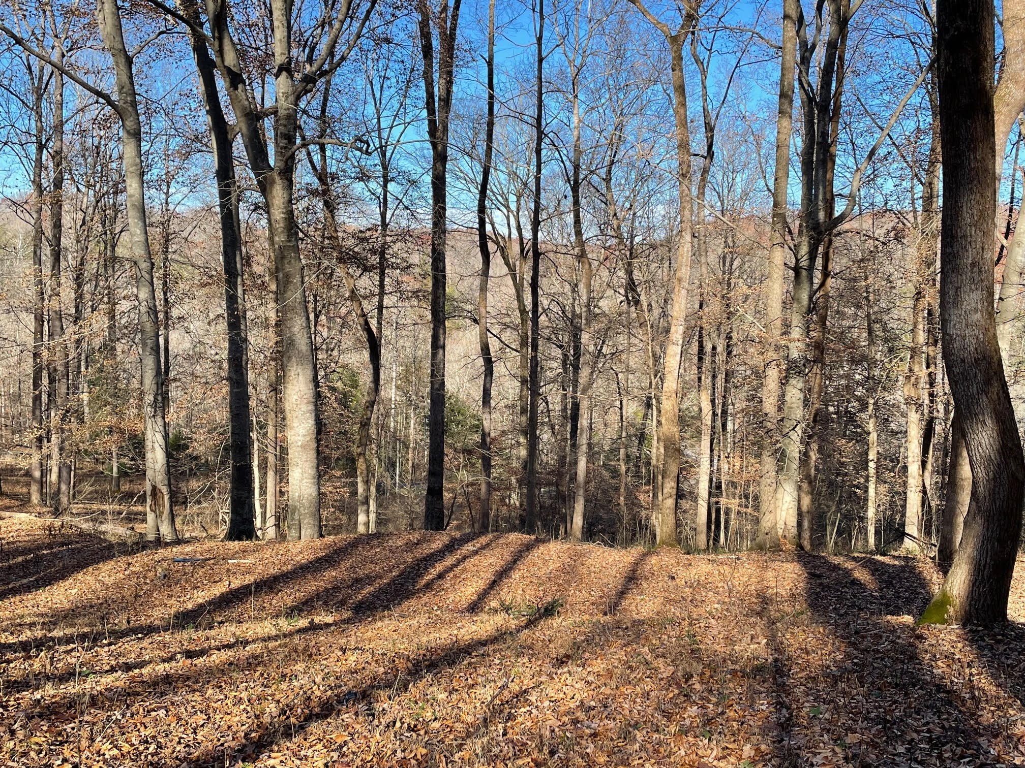 1125 Ridgecrest Road Kingston Springs, TN 37082 - Photo 8 of 20