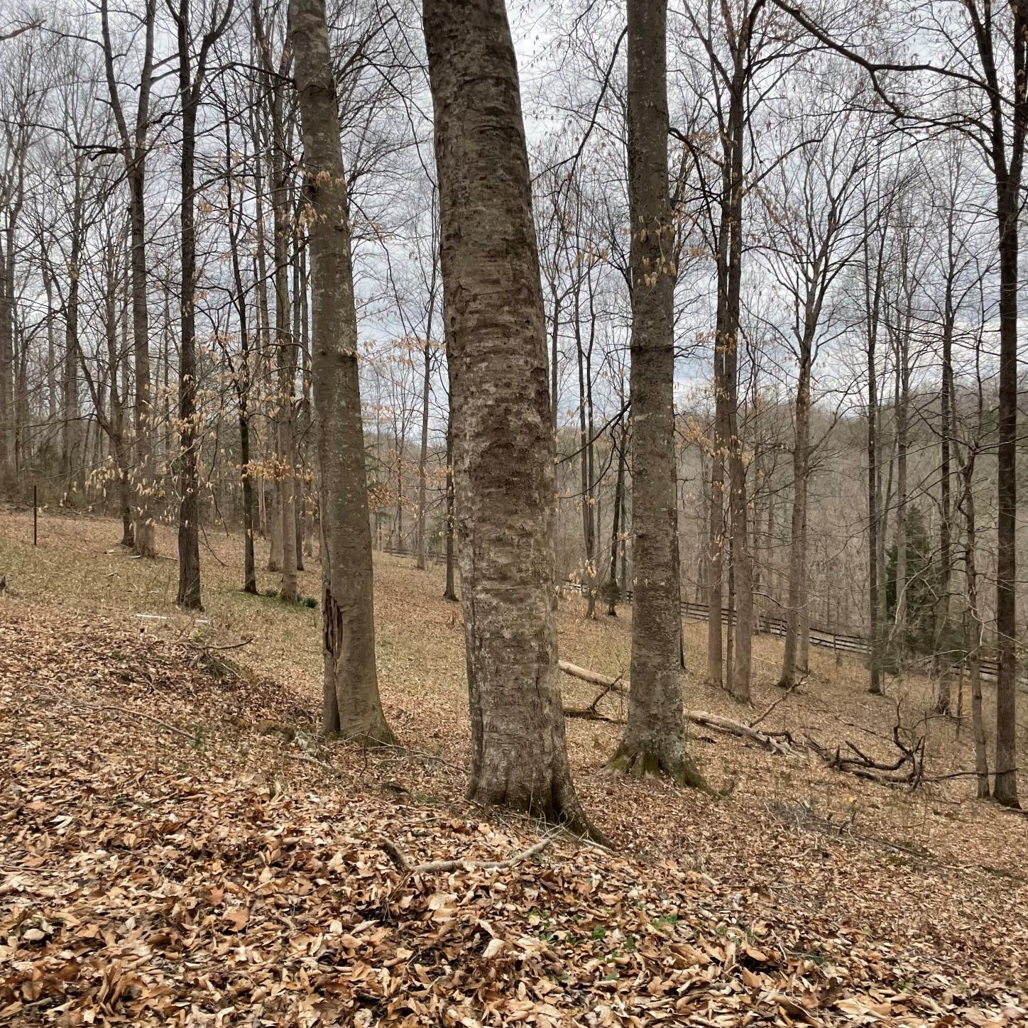 1125 Ridgecrest Road Kingston Springs, TN 37082 - Photo 10 of 20