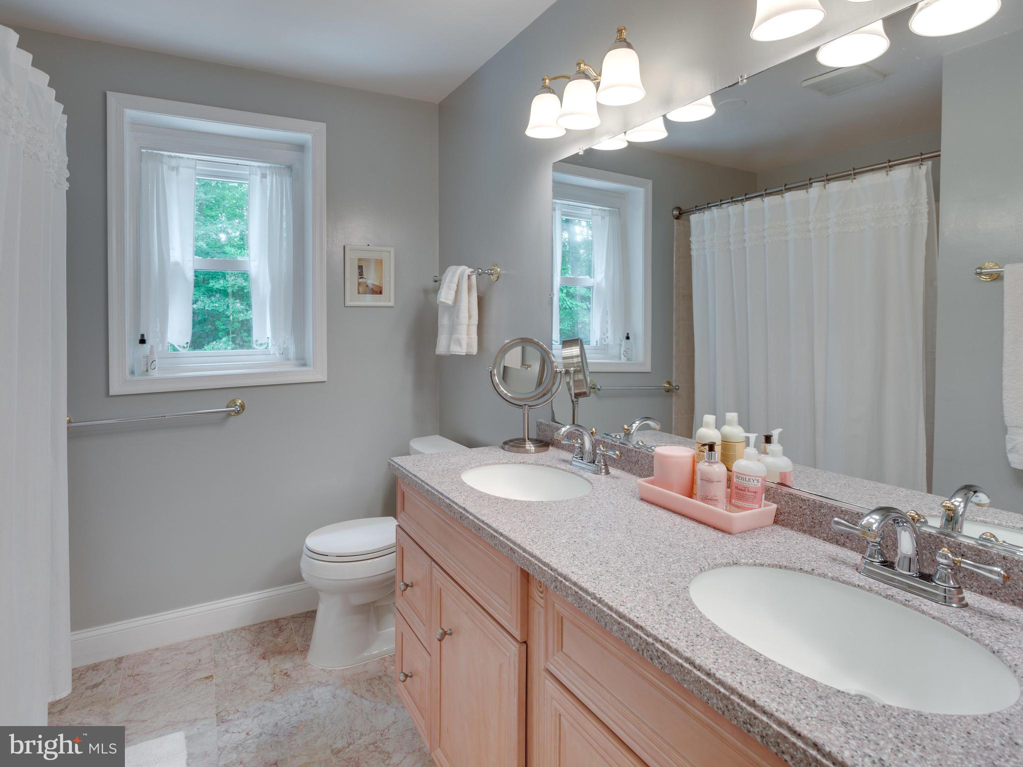 9031 Edgepark Road Vienna, VA 22182 - Photo 19 of 30 a bathroom with double vanity sink a toilet and a mirror