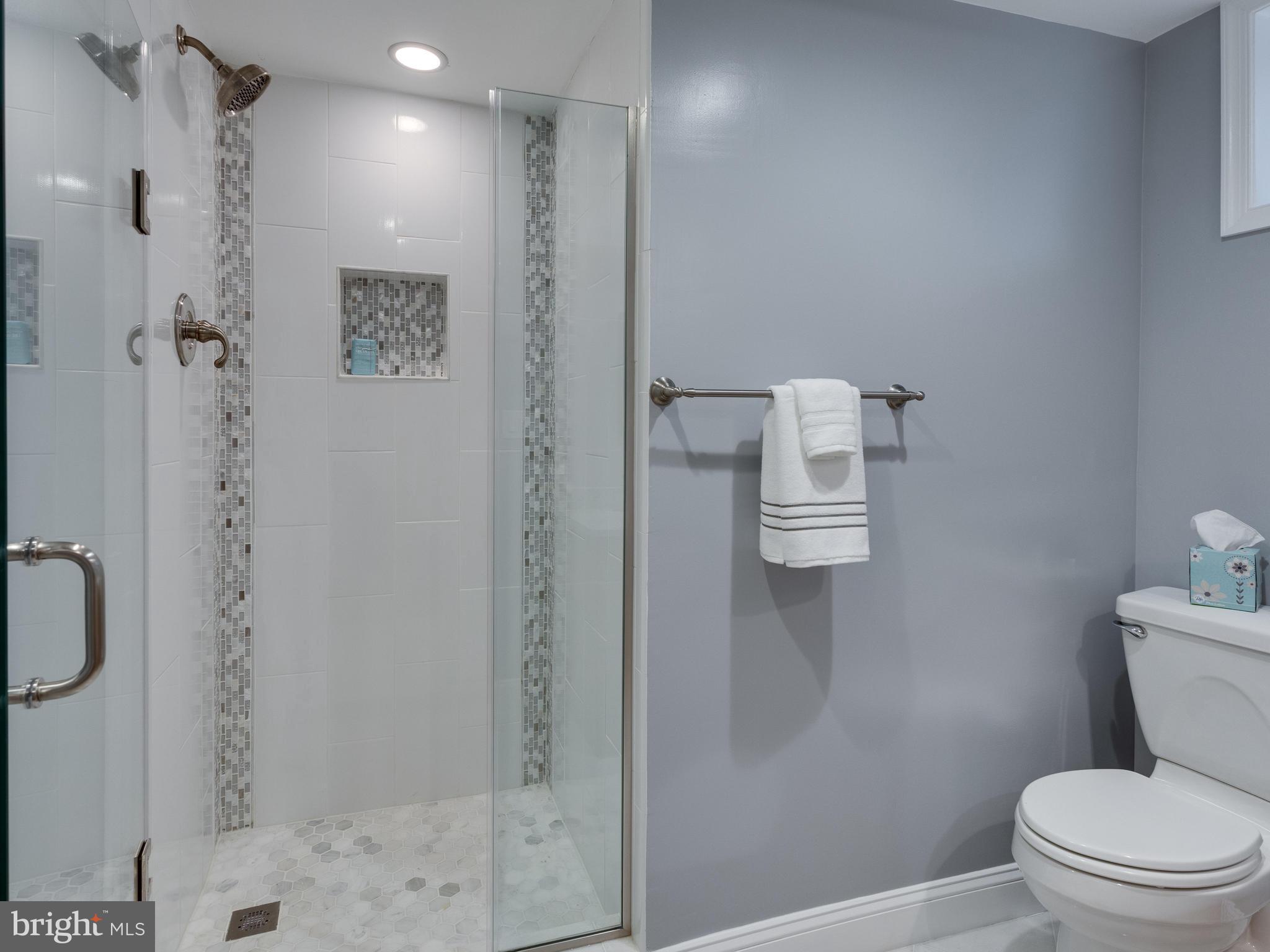 9031 Edgepark Road Vienna, VA 22182 - Photo 24 of 30 a bathroom with a shower a toilet and sink