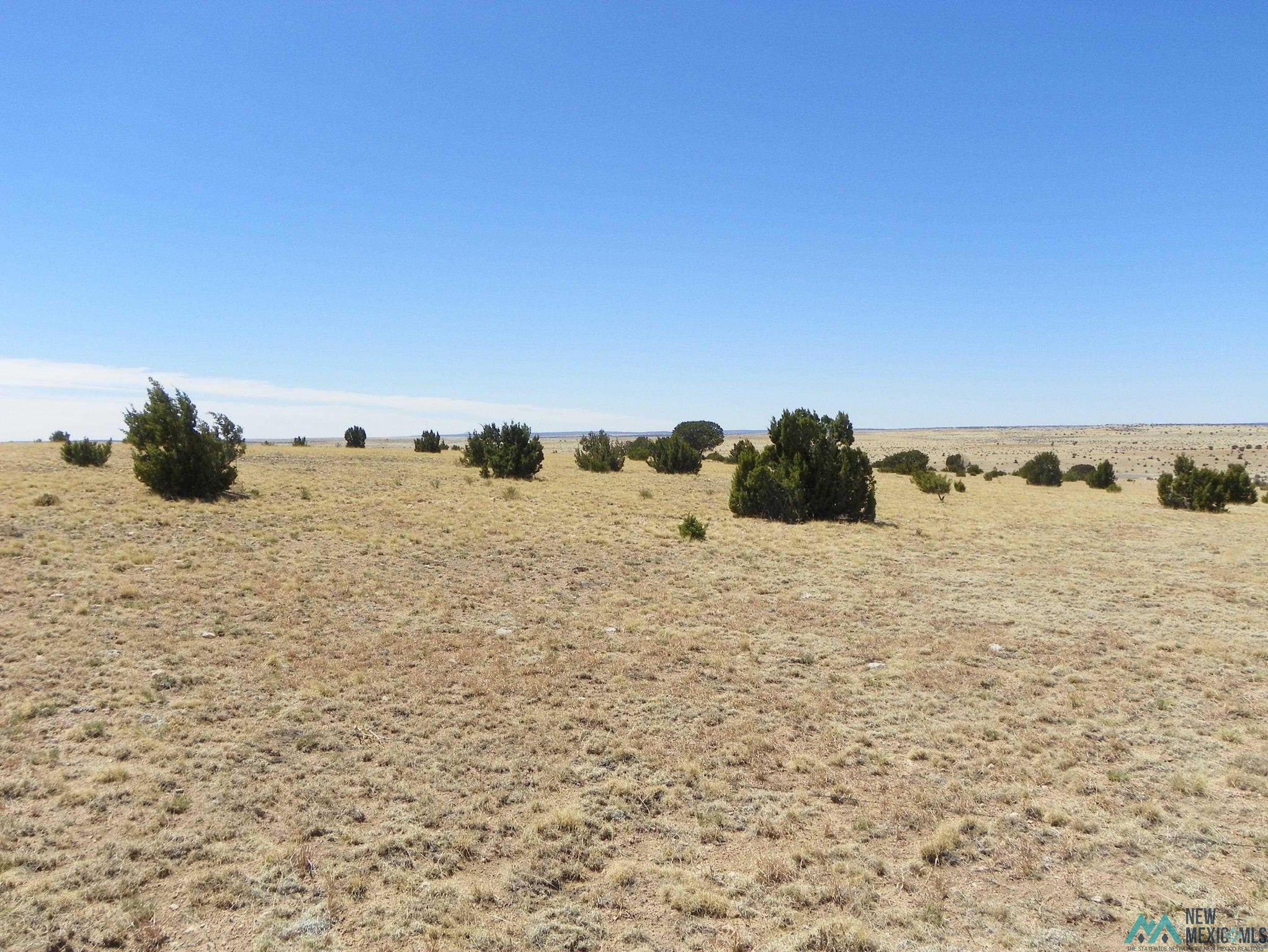 1 Pecos Spr Spur Santa Rosa, NM 88435 - Photo 28 of 29 Gallery Image 28