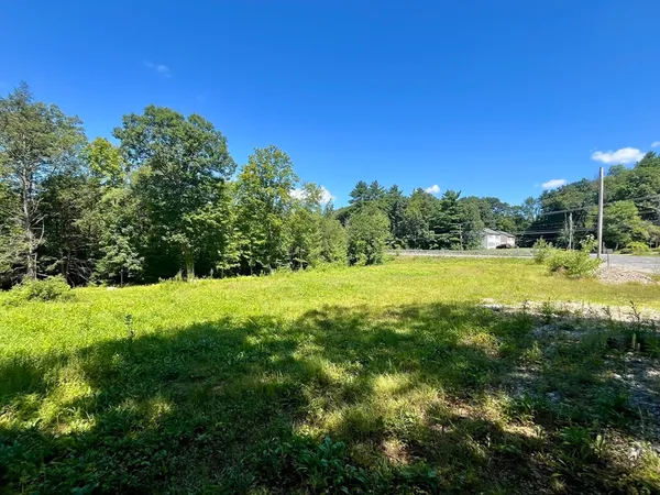 a view of a field with a tree in the background