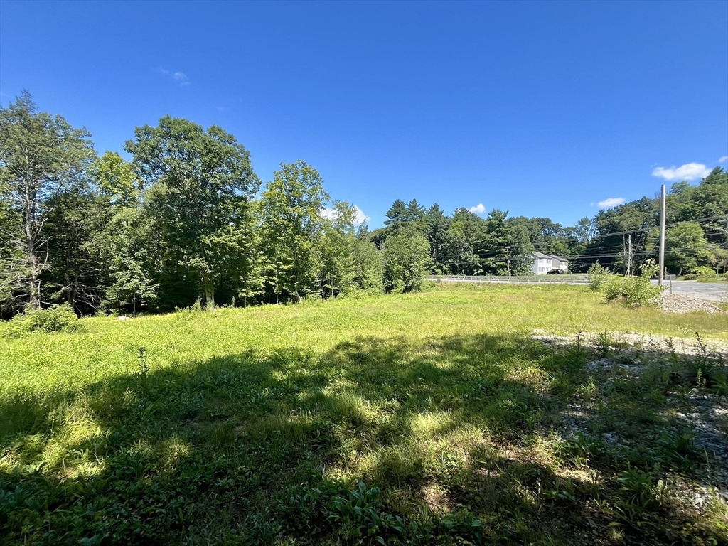 0 Five Bridge Road Brimfield, MA 01010 - Photo 2 of 4 a view of a field with a tree in the background