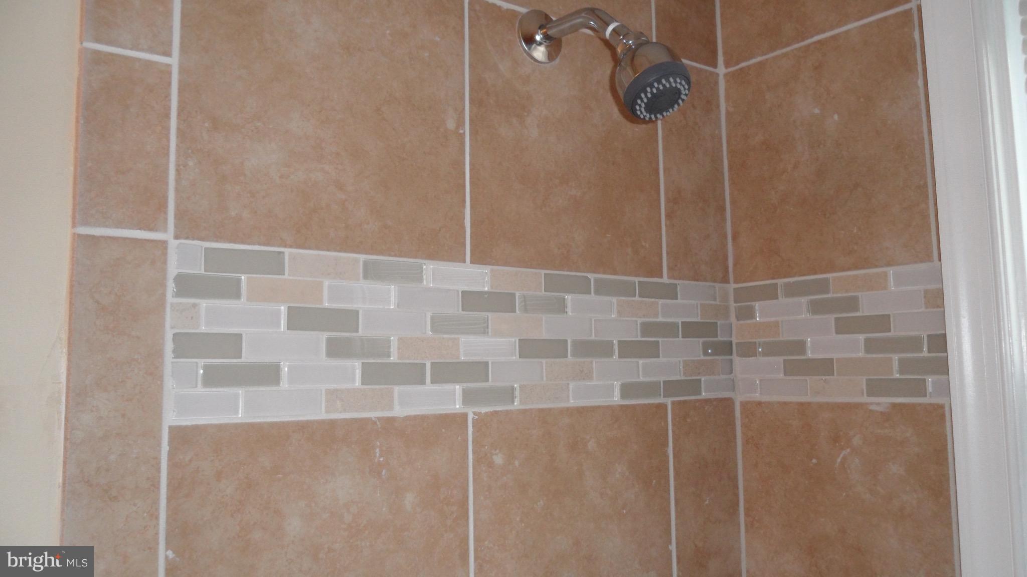 2107 Redthorn Road Baltimore, MD 21220 - Photo 12 of 14 a bathroom with a shower