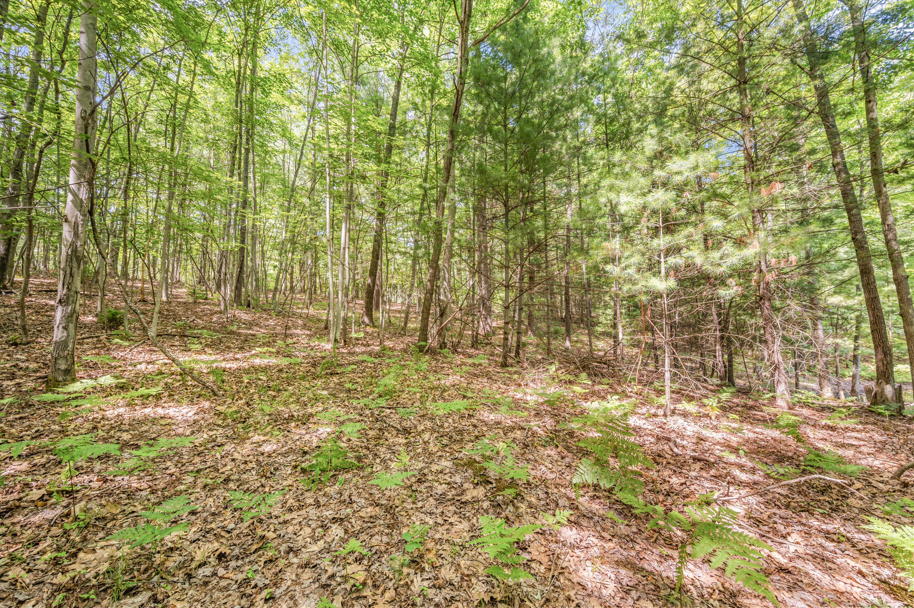 15 West 12 Mile Road Irons, MI 49644 - Photo 26 of 32 Lot15-12MileRd-Irons-9