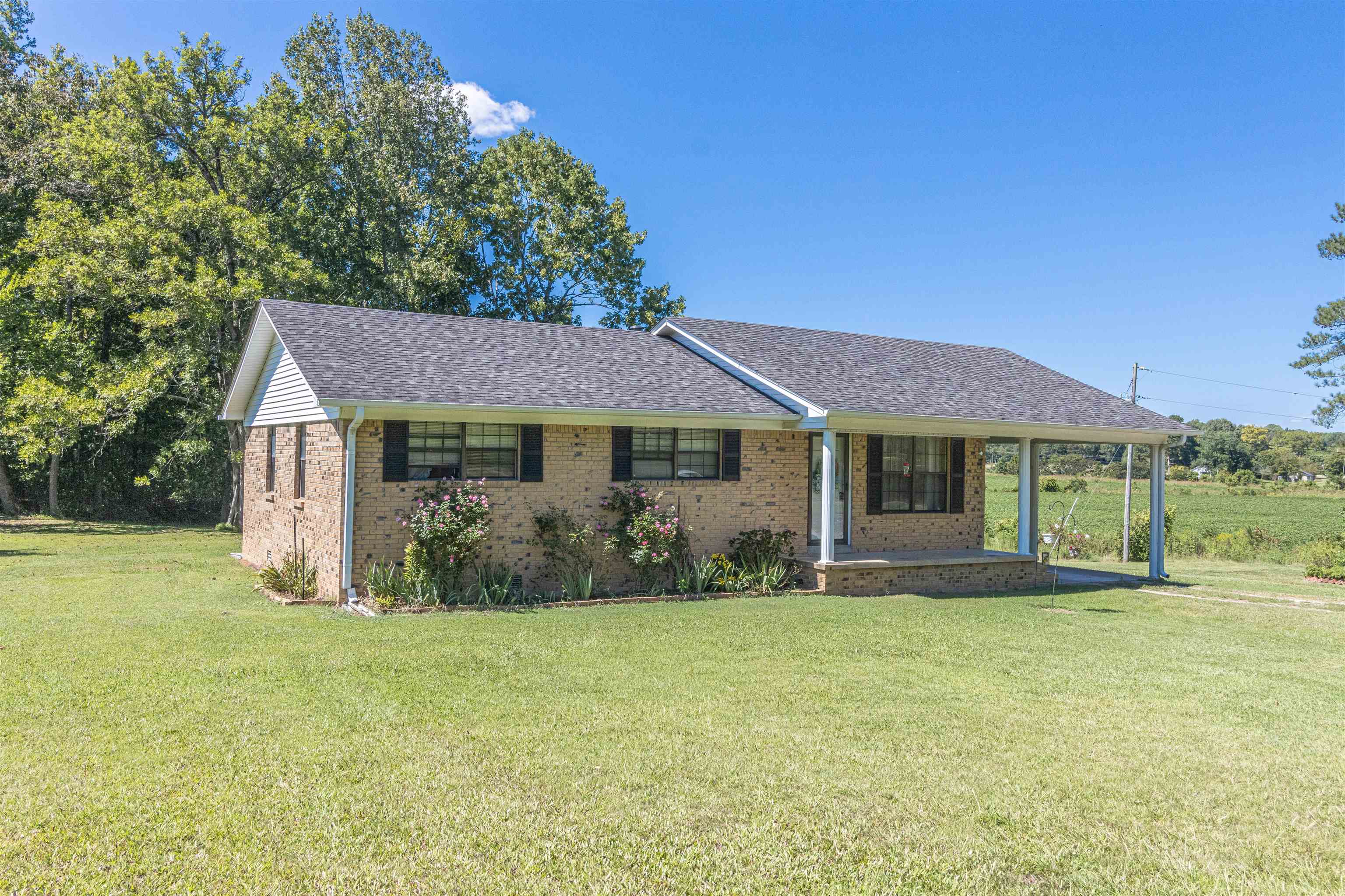 273 New Delite Road Selmer, TN 38375 - Photo 1 of 22 Gallery Image 1