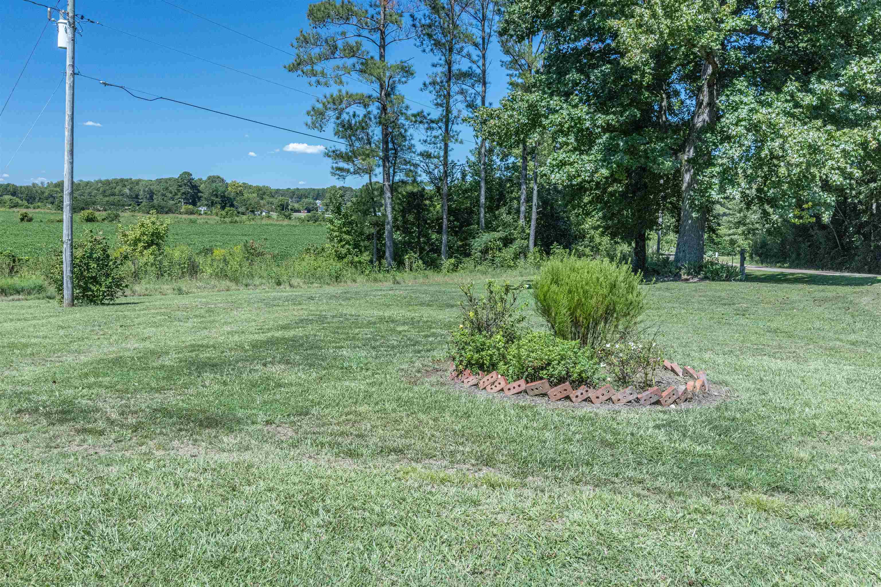 273 New Delite Road Selmer, TN 38375 - Photo 20 of 22 Gallery Image 20