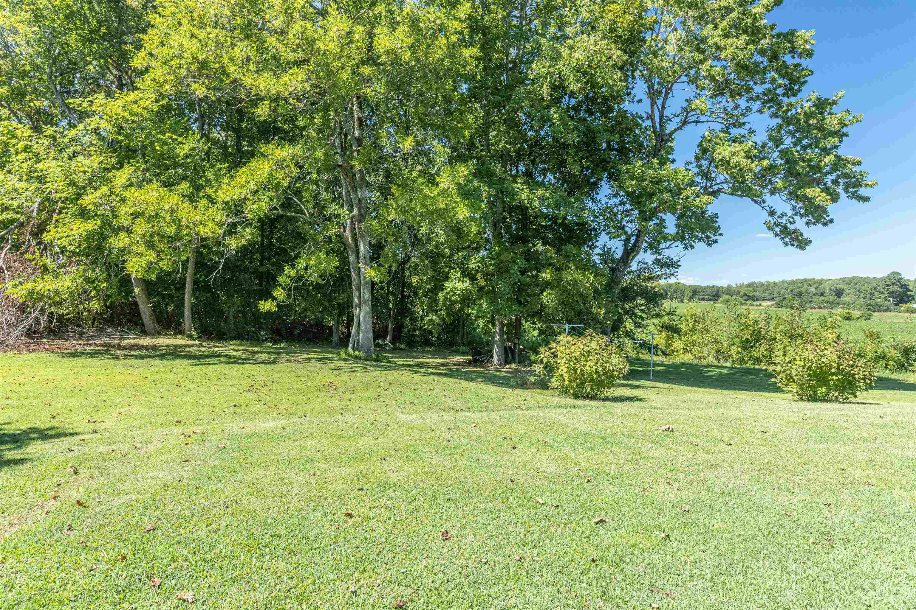 273 New Delite Road Selmer, TN 38375 - Photo 3 of 22 Gallery Image 3