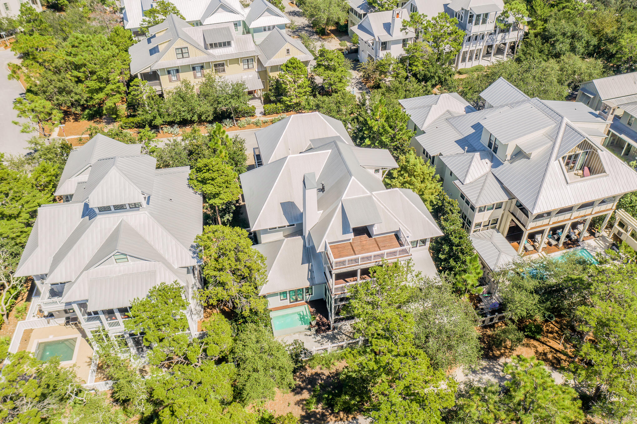 127 Blackwater Street Santa Rosa Beach, FL 32459 - Photo 6 of 97 an aerial view of a house with a yard and garden