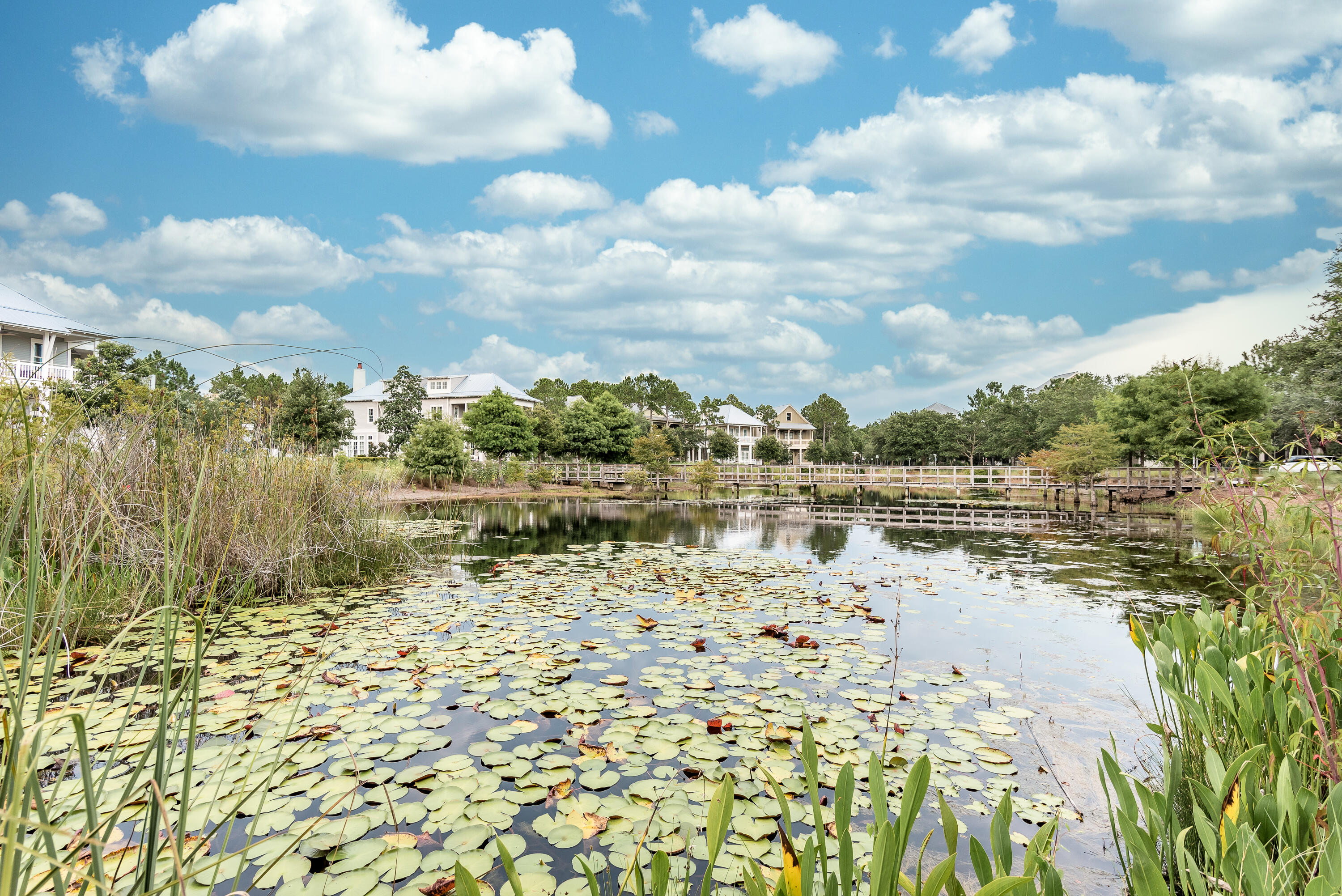 127 Blackwater Street Santa Rosa Beach, FL 32459 - Photo 90 of 97 Watercolor-9