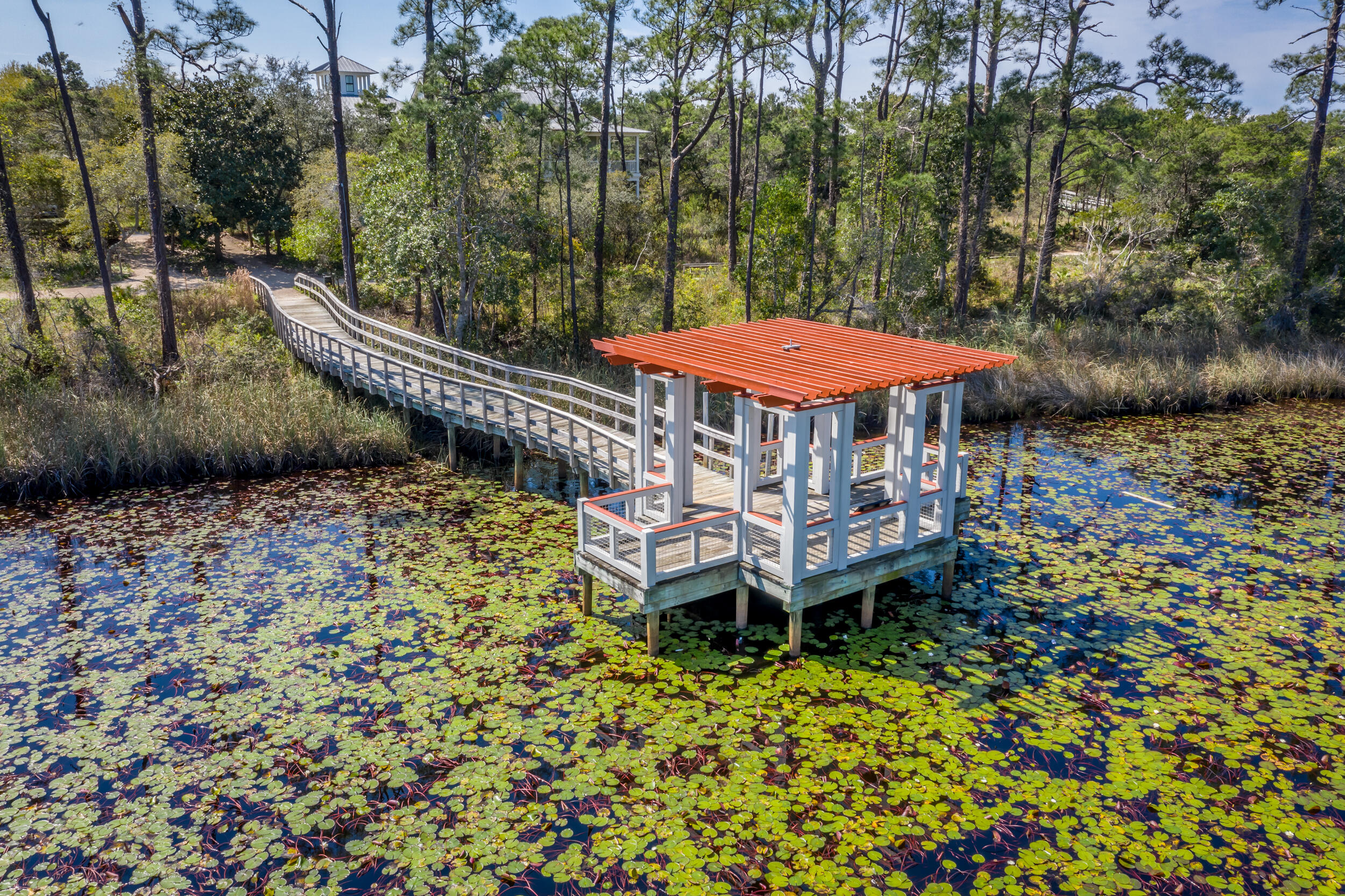 127 Blackwater Street Santa Rosa Beach, FL 32459 - Photo 93 of 97 DJI_0282-HDR