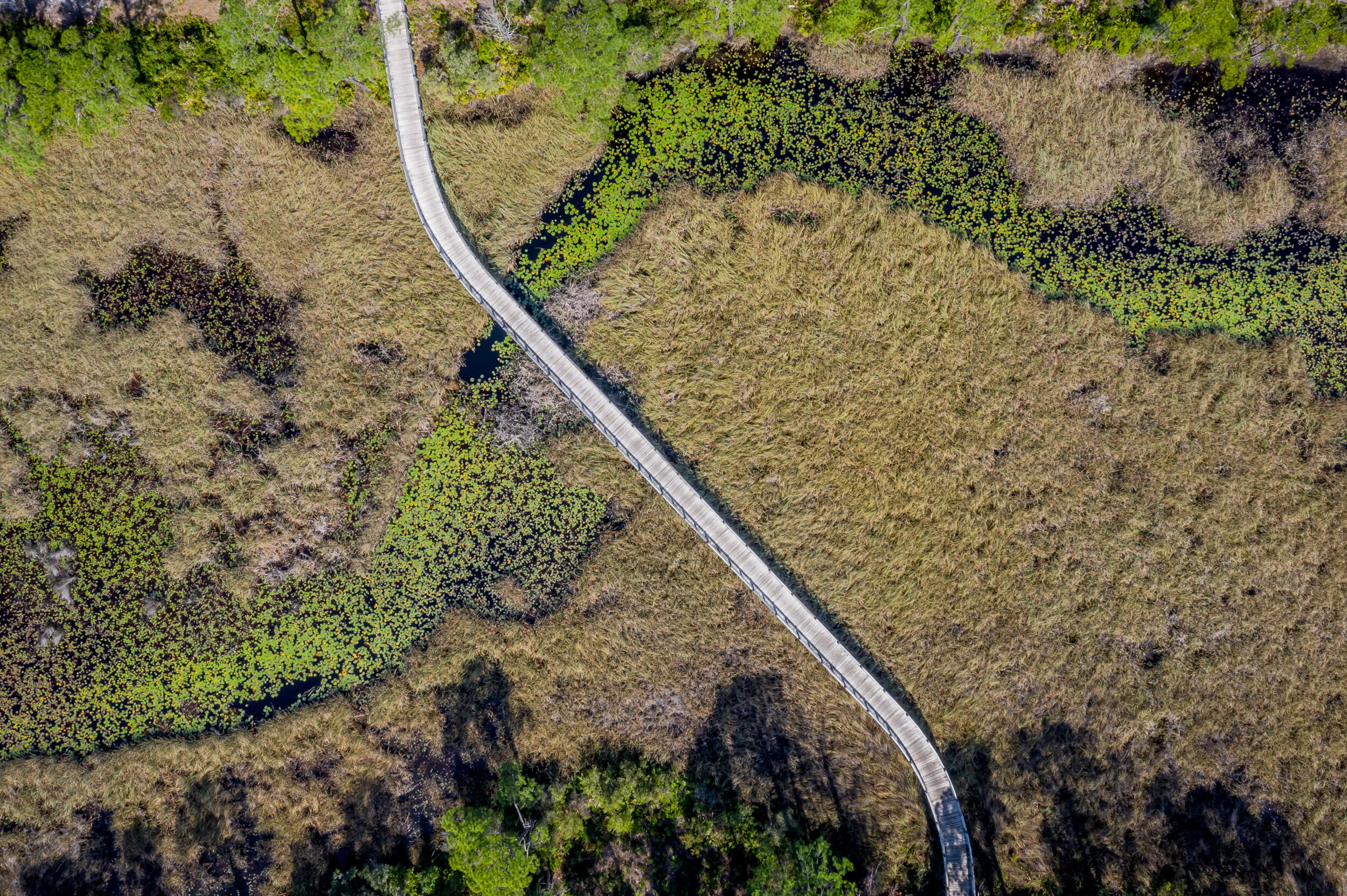 127 Blackwater Street Santa Rosa Beach, FL 32459 - Photo 94 of 97 DJI_0234-HDR