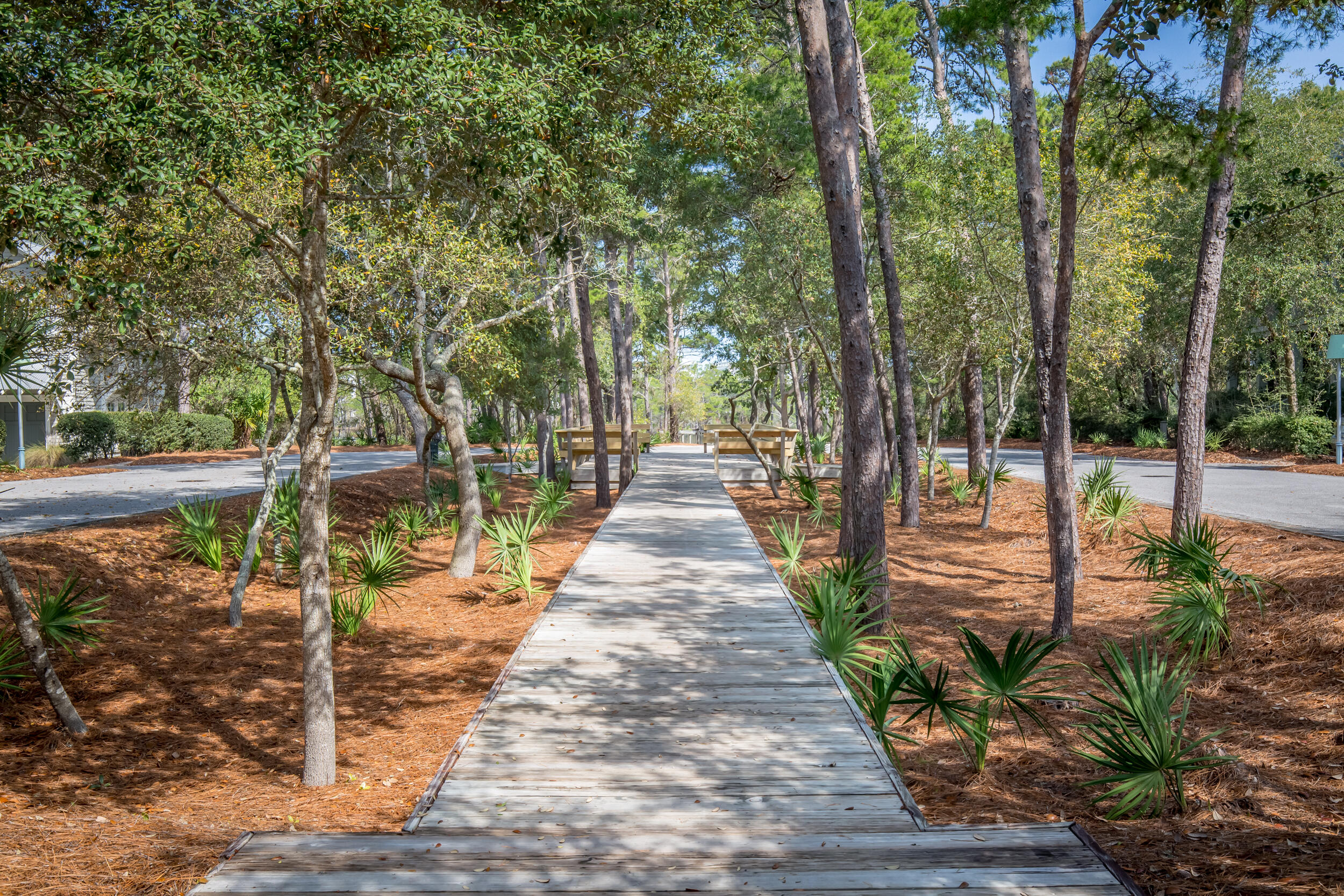 127 Blackwater Street Santa Rosa Beach, FL 32459 - Photo 96 of 97 _64A9089-HDR