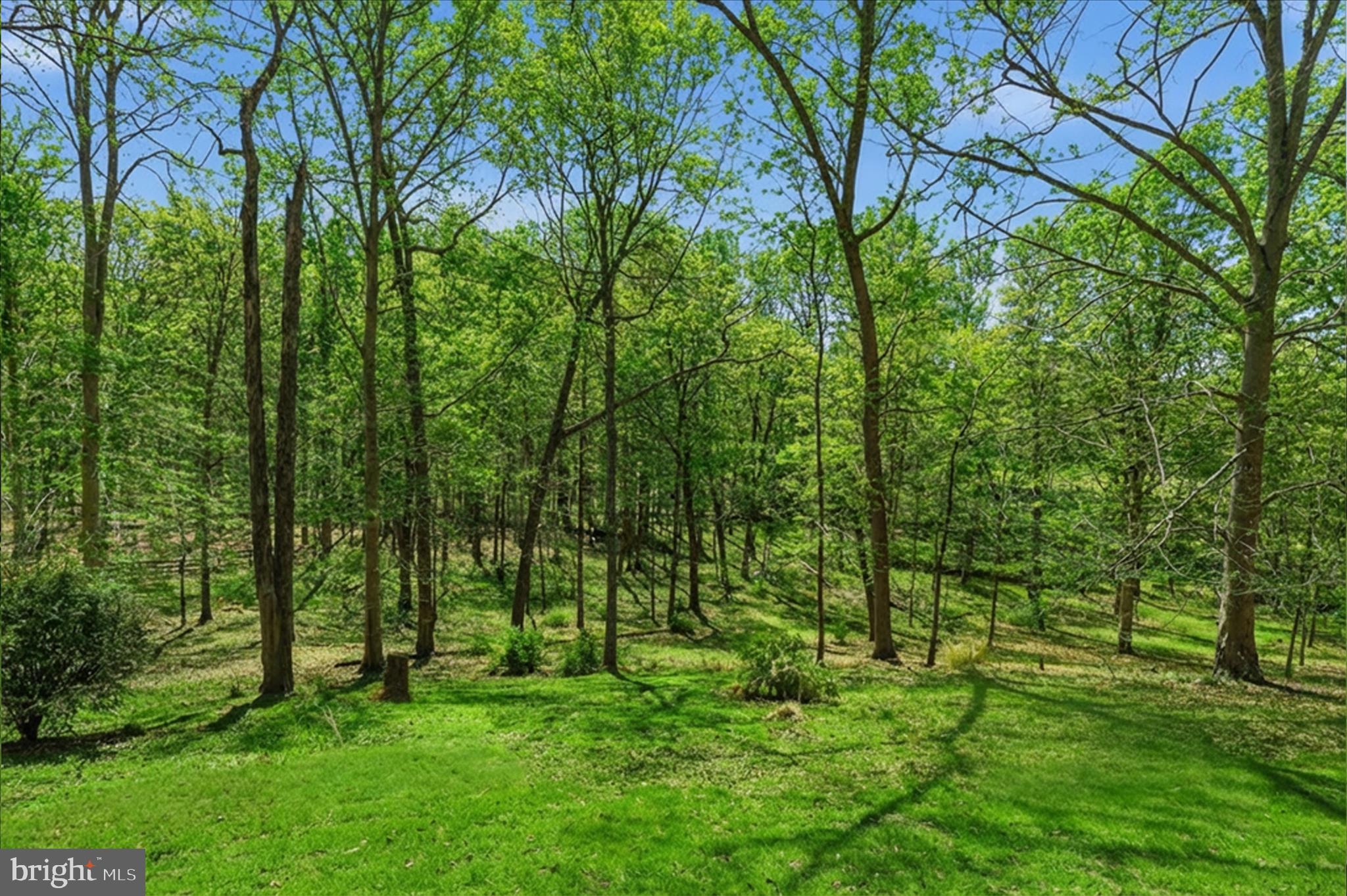 5605 Smoke Rise Lane Fairfax Station, VA 22039 - Photo 55 of 85 5 Acres!