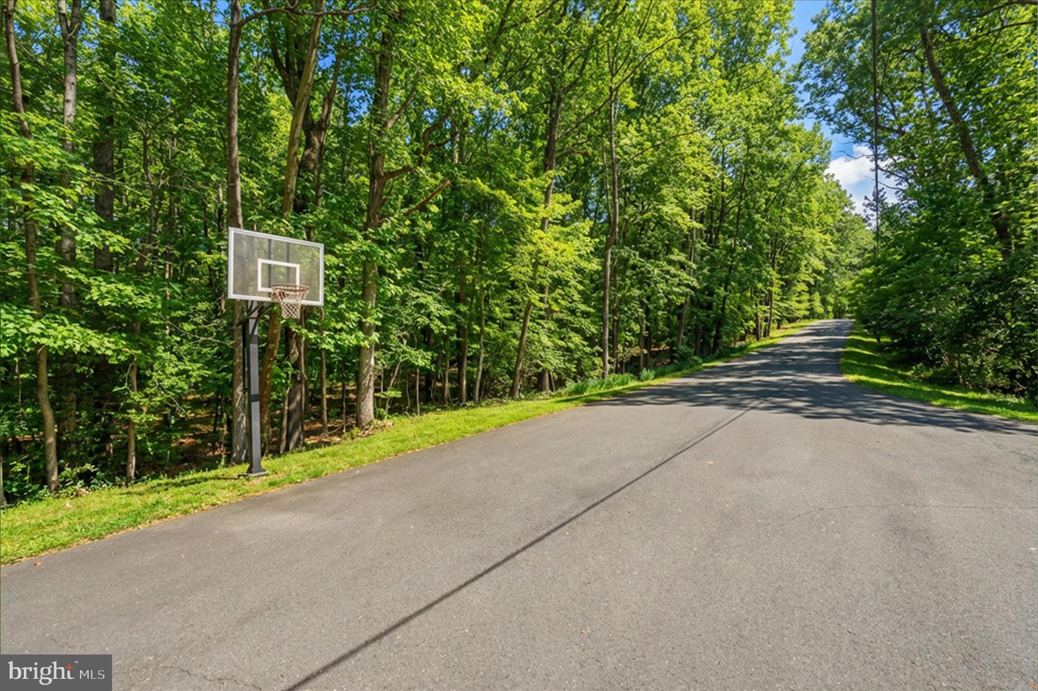 5605 Smoke Rise Lane Fairfax Station, VA 22039 - Photo 61 of 85 Driveway